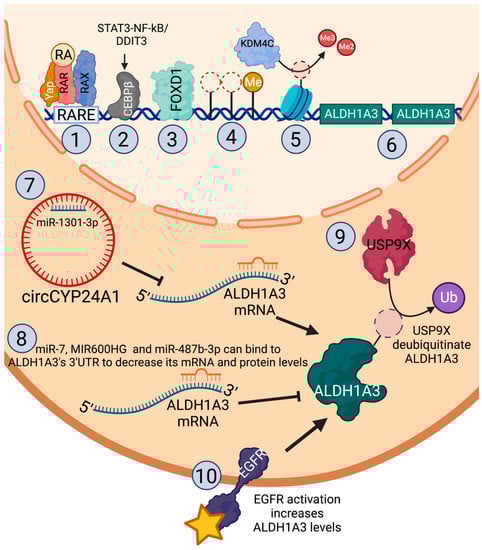 Cancers 15 00492 g002