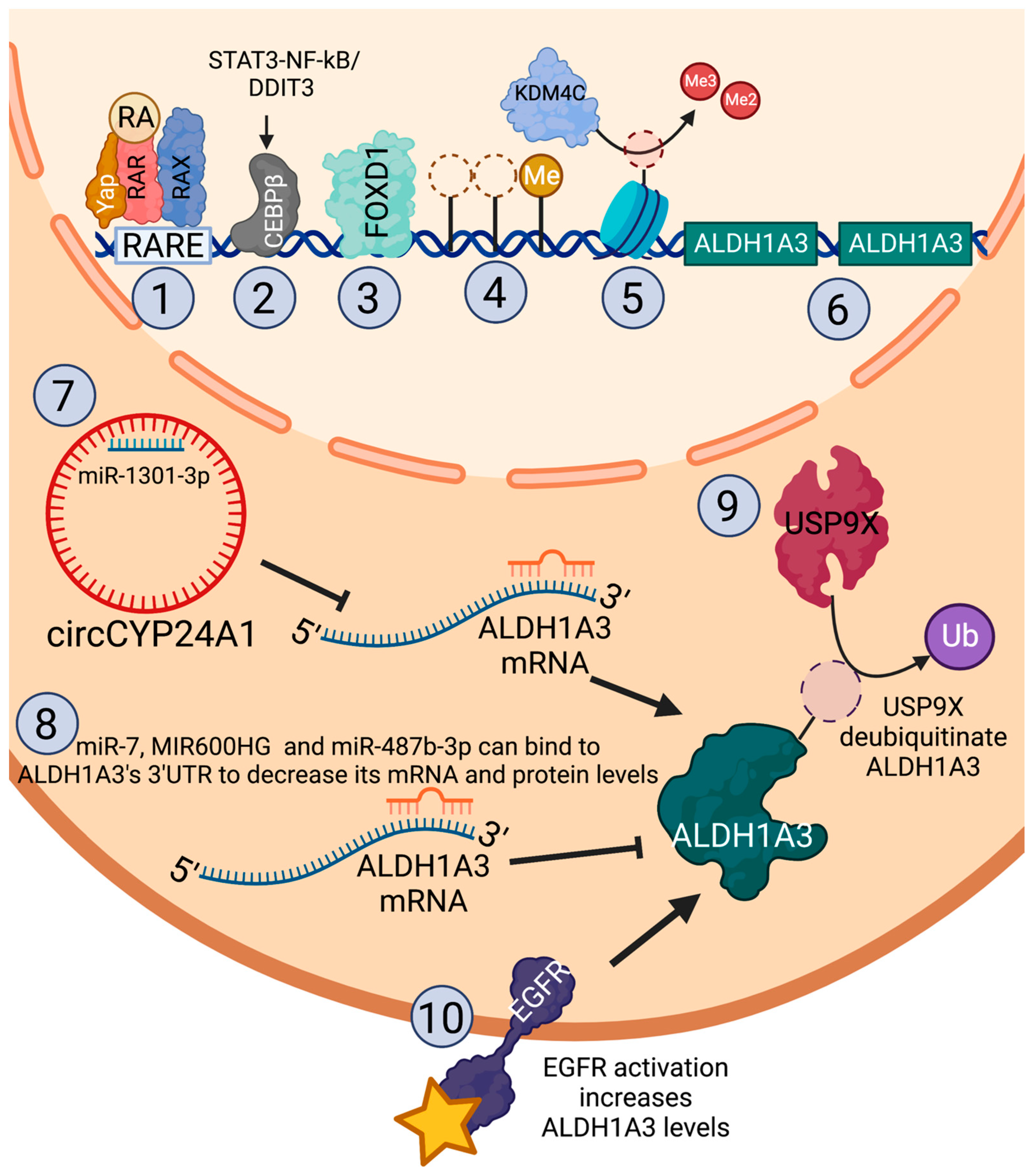 Cancers 15 00492 g002