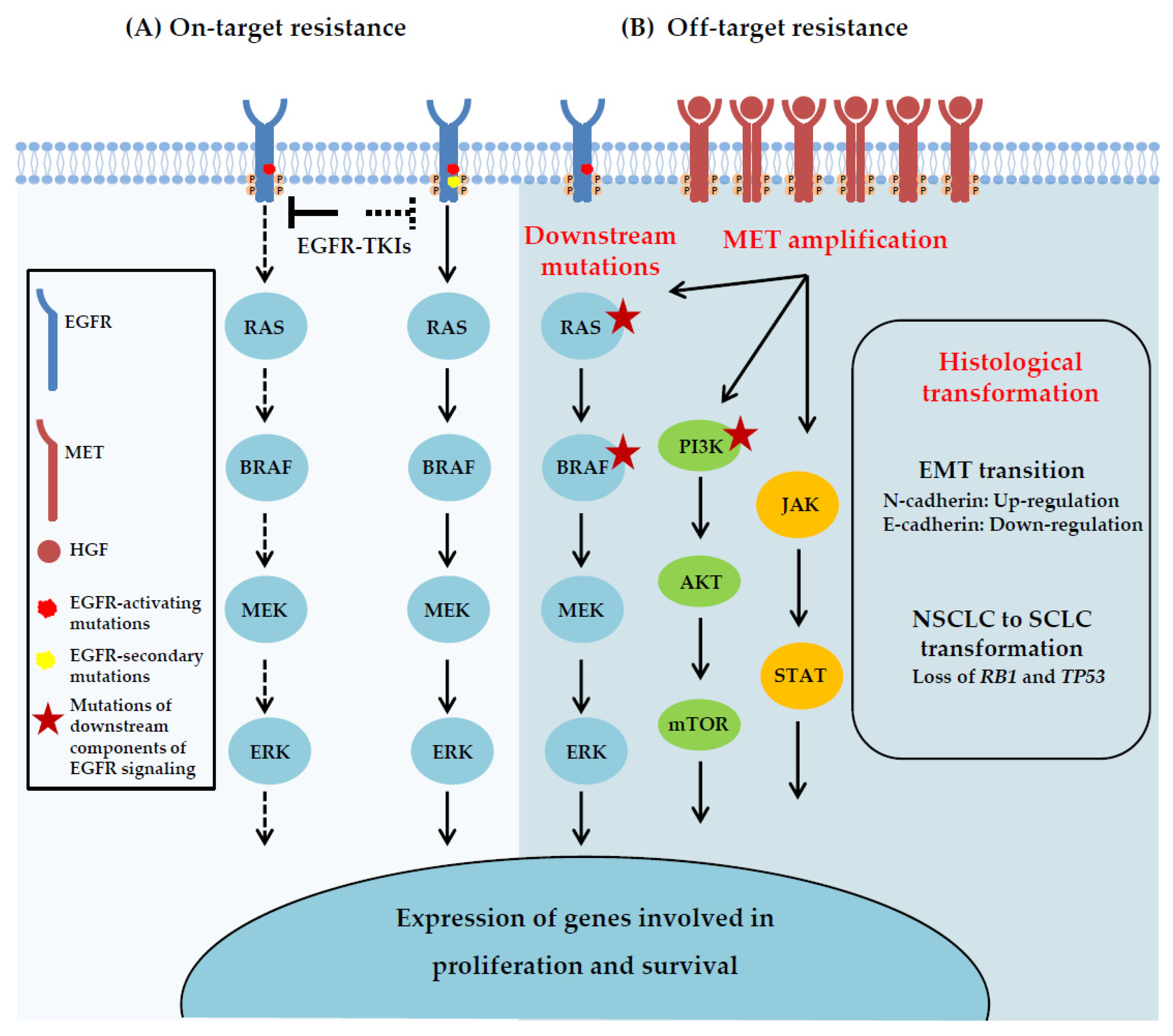 Cancers 15 00504 g002