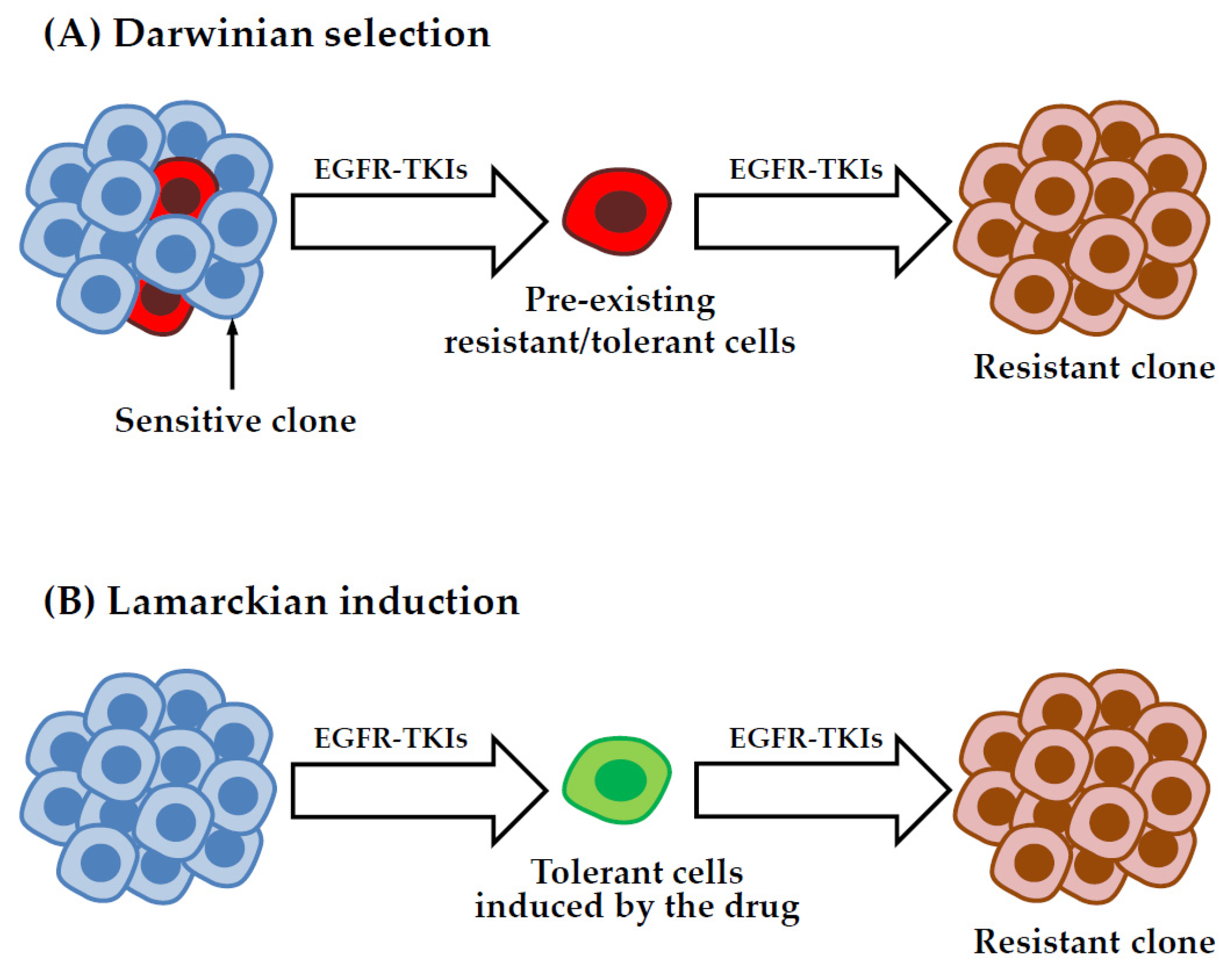 Cancers 15 00504 g003