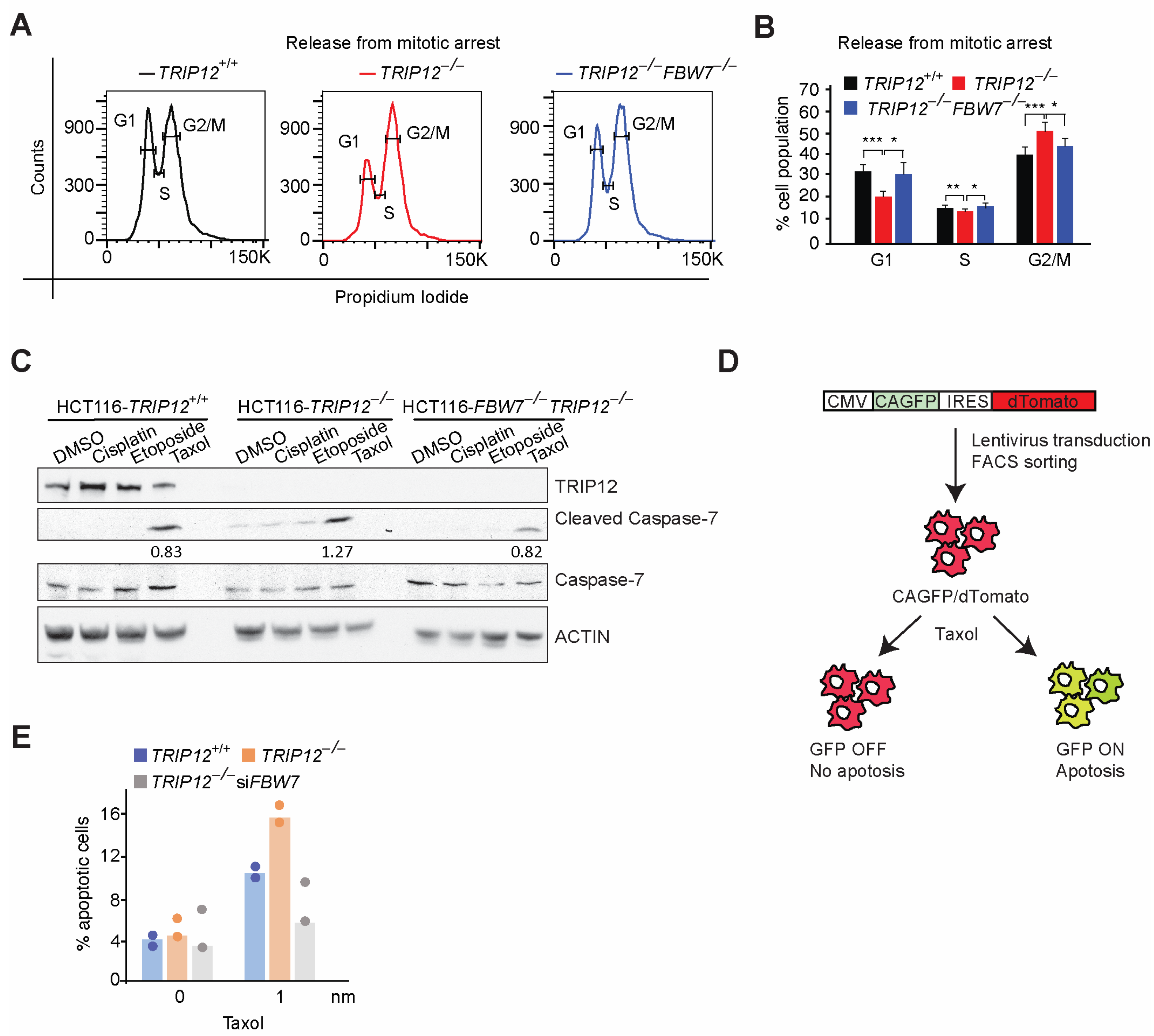 Cancers 15 00505 g003
