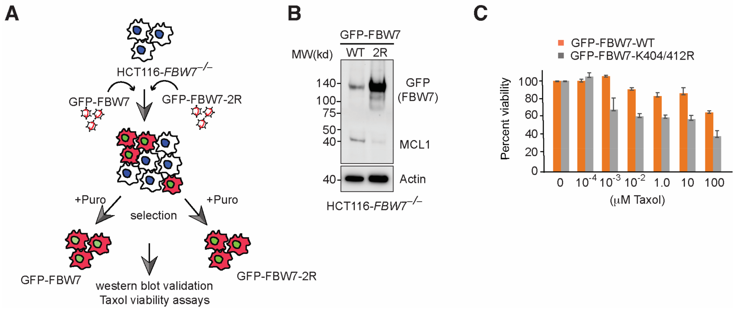 Cancers 15 00505 g005