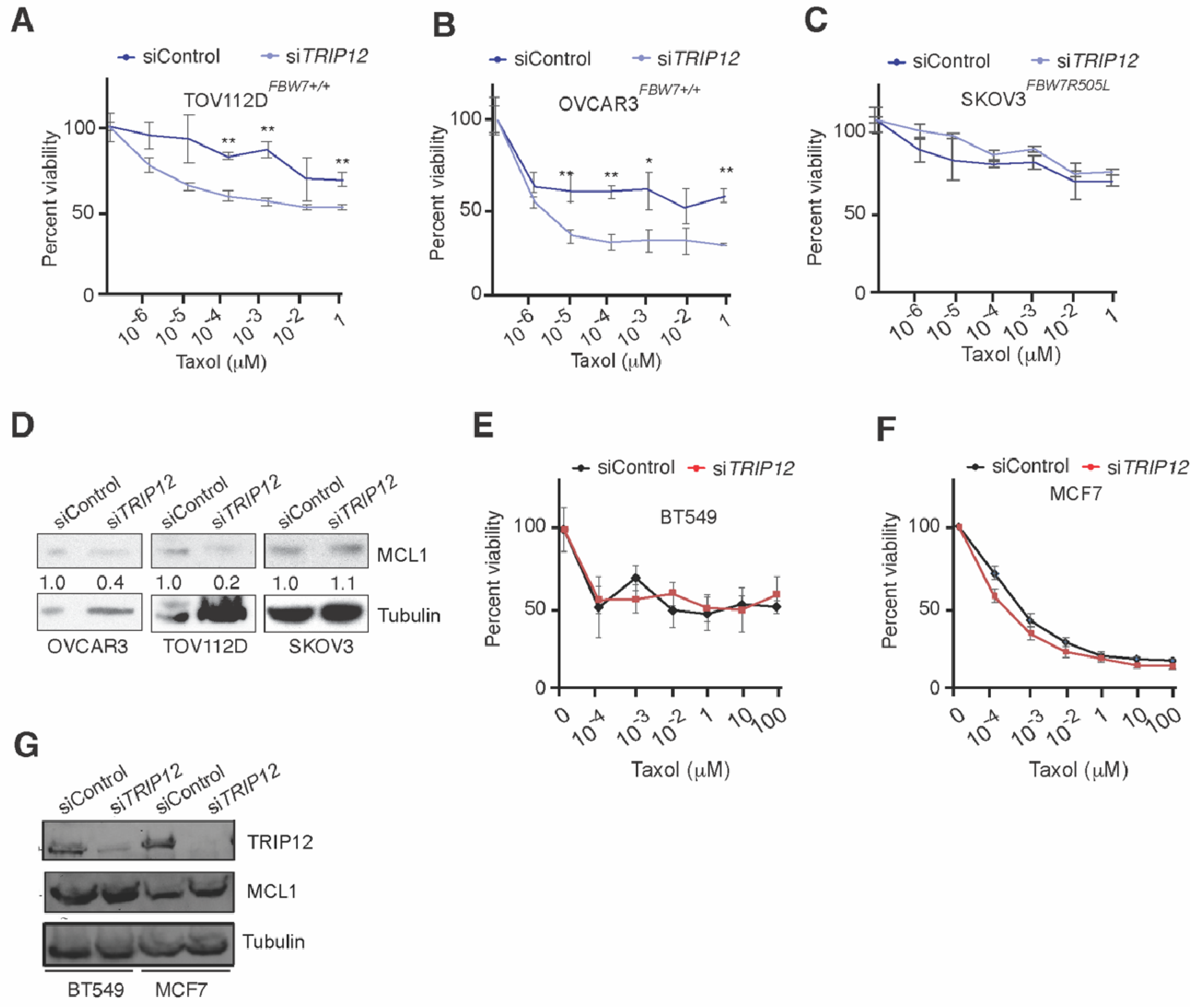 Cancers 15 00505 g006