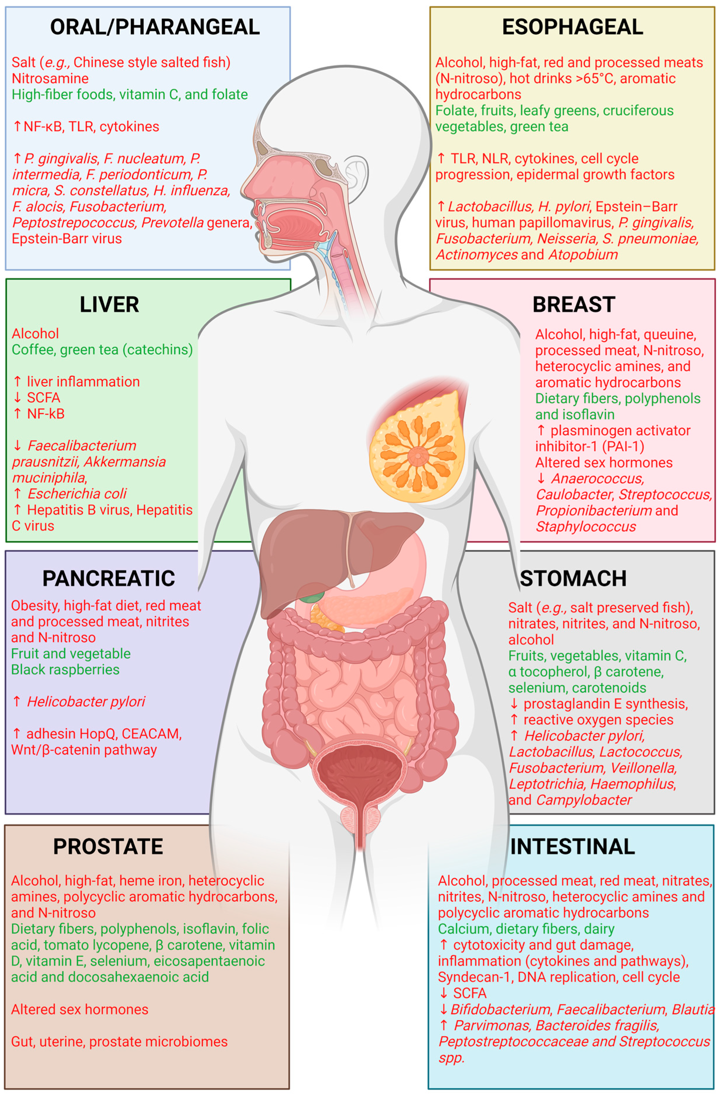 Cancers 15 00521 g001