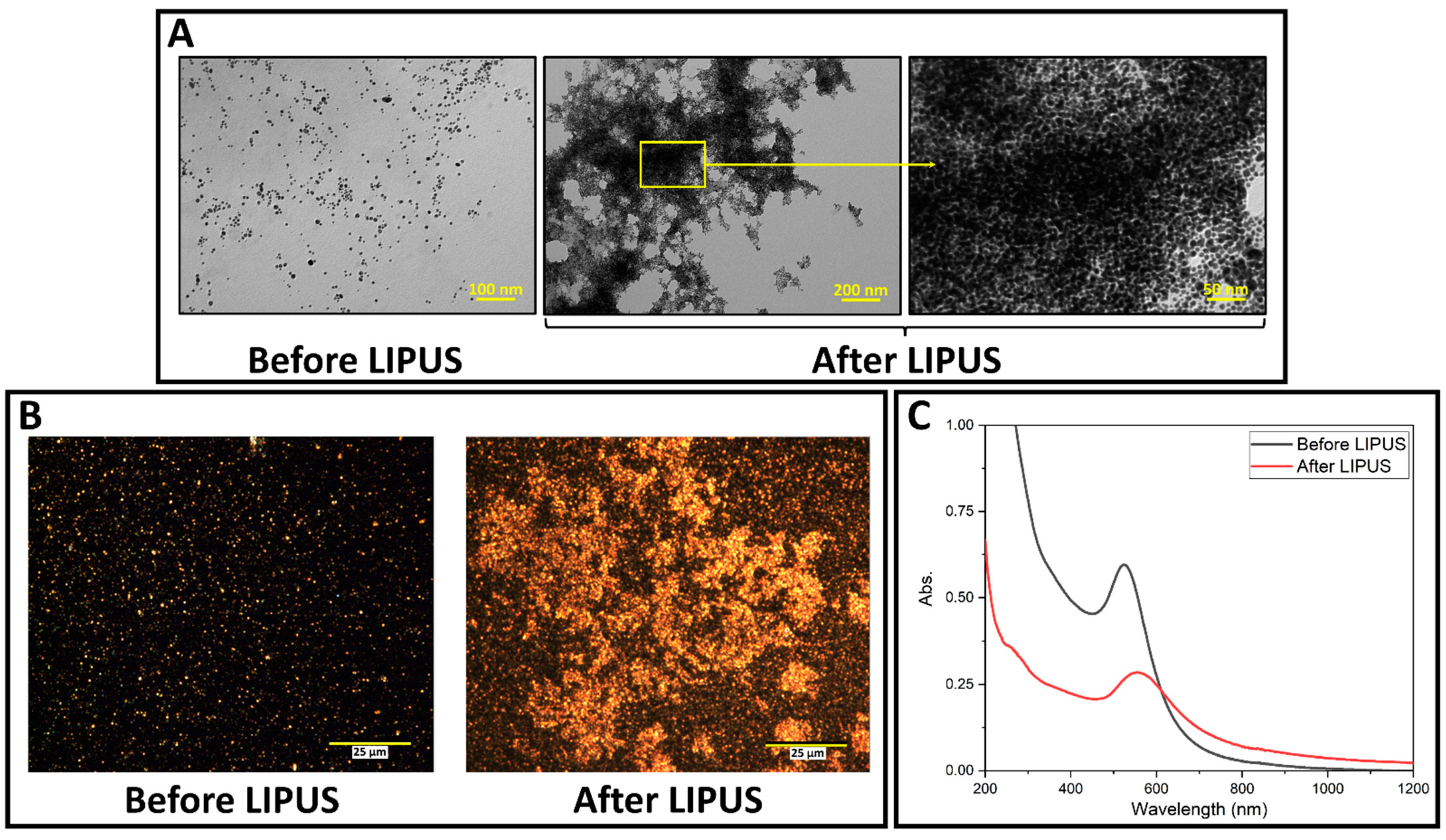 Cancers 15 00523 g003