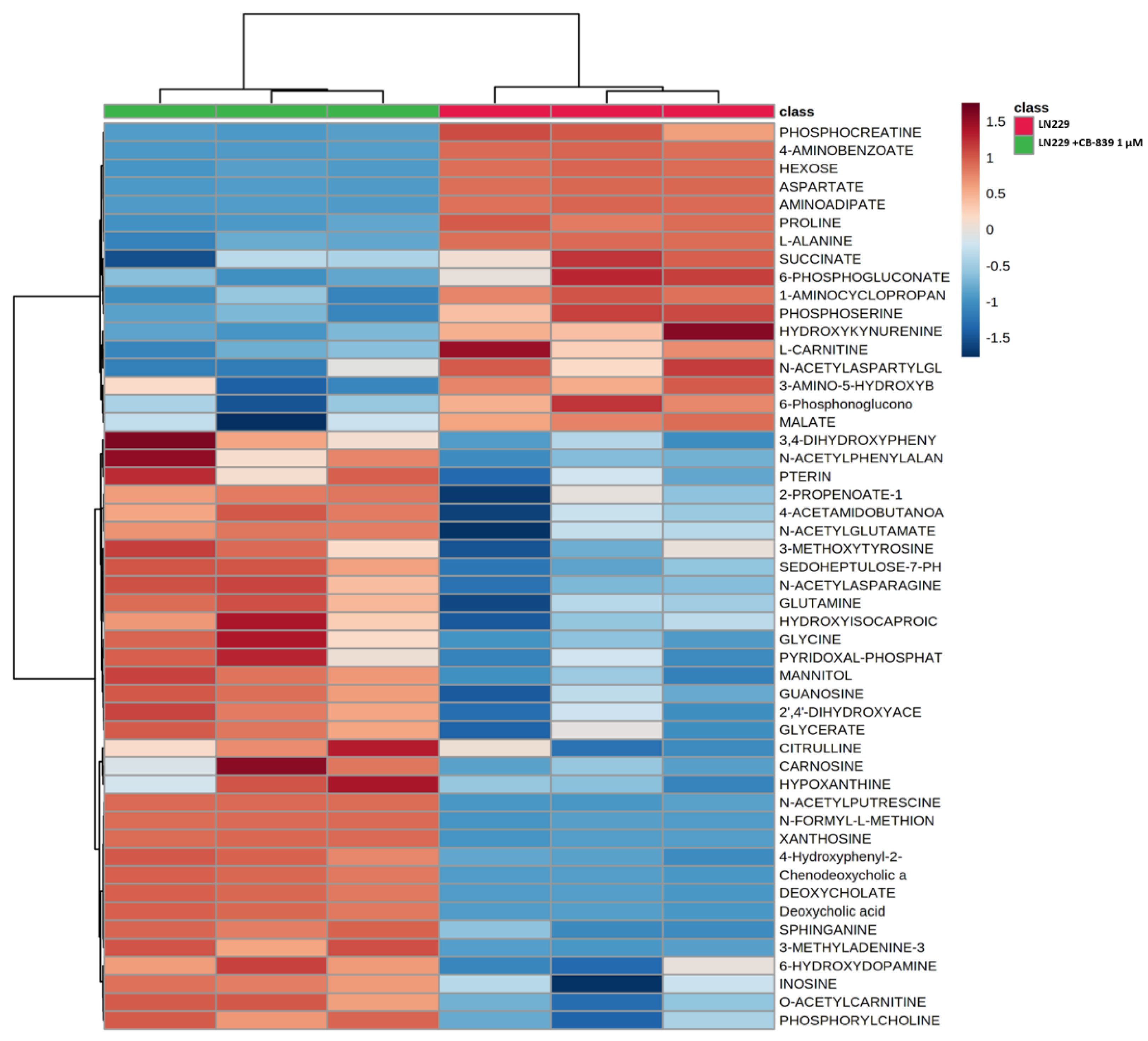 Cancers 15 00531 g005