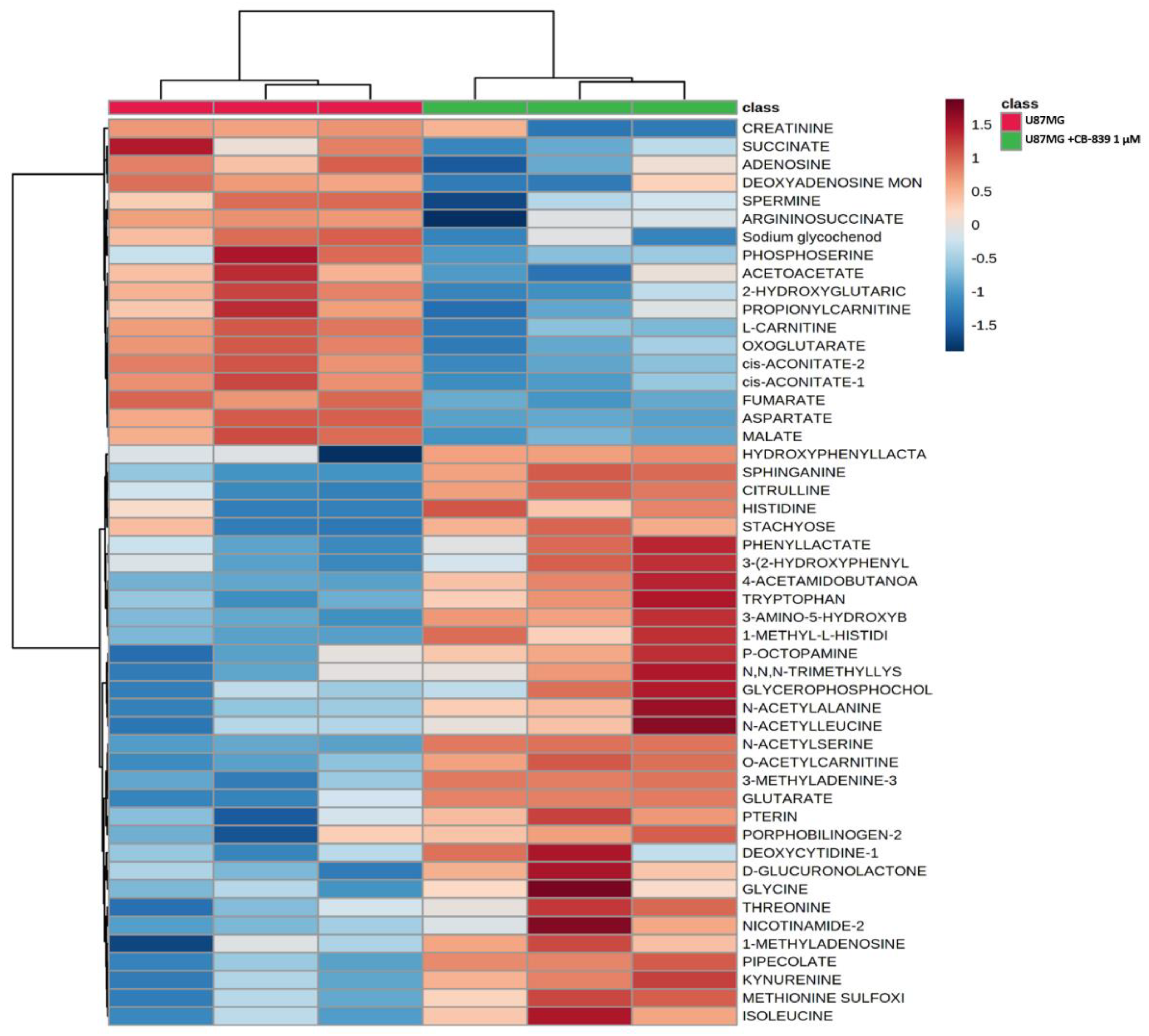 Cancers 15 00531 g006