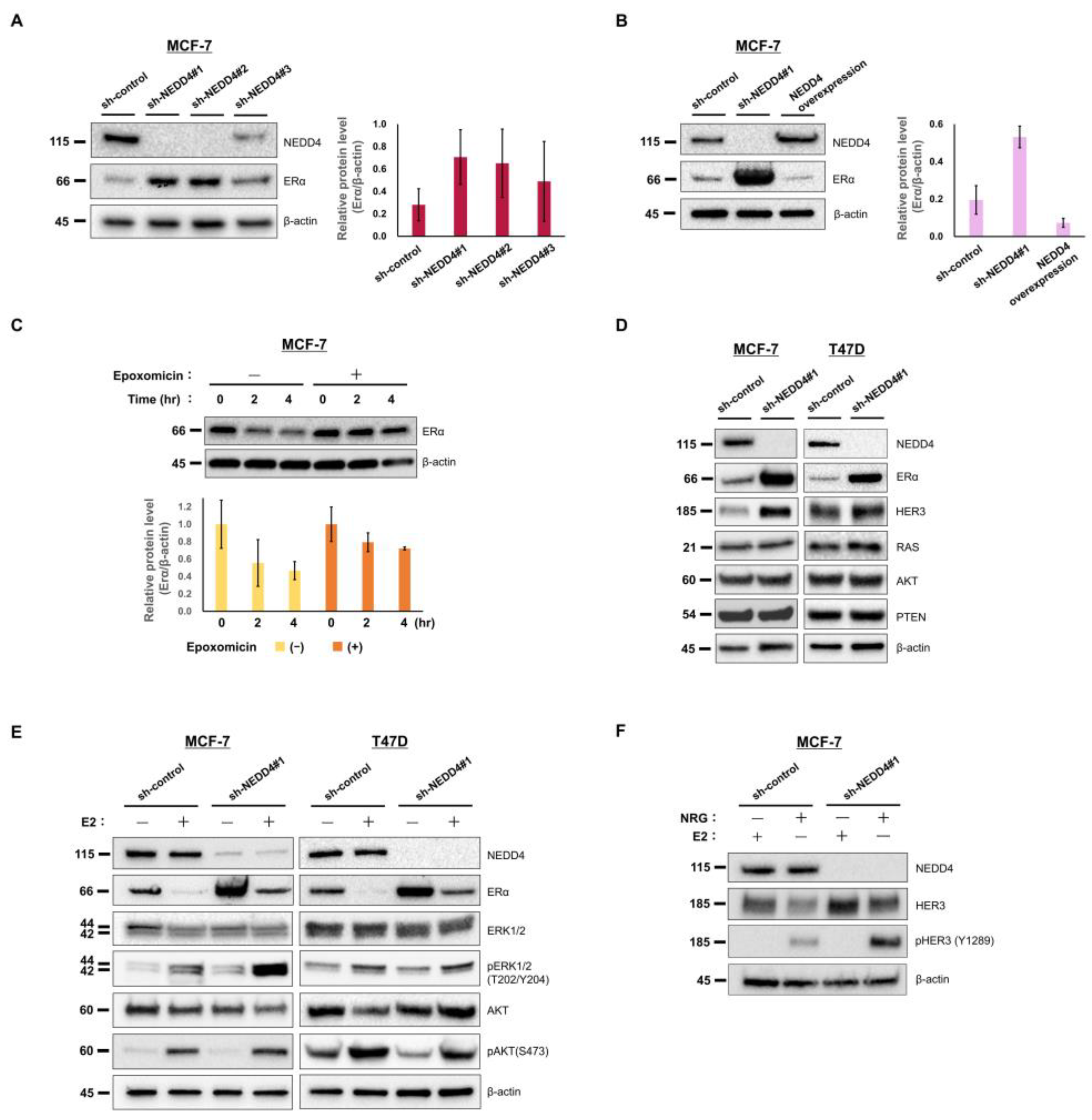 Cancers 15 00539 g003