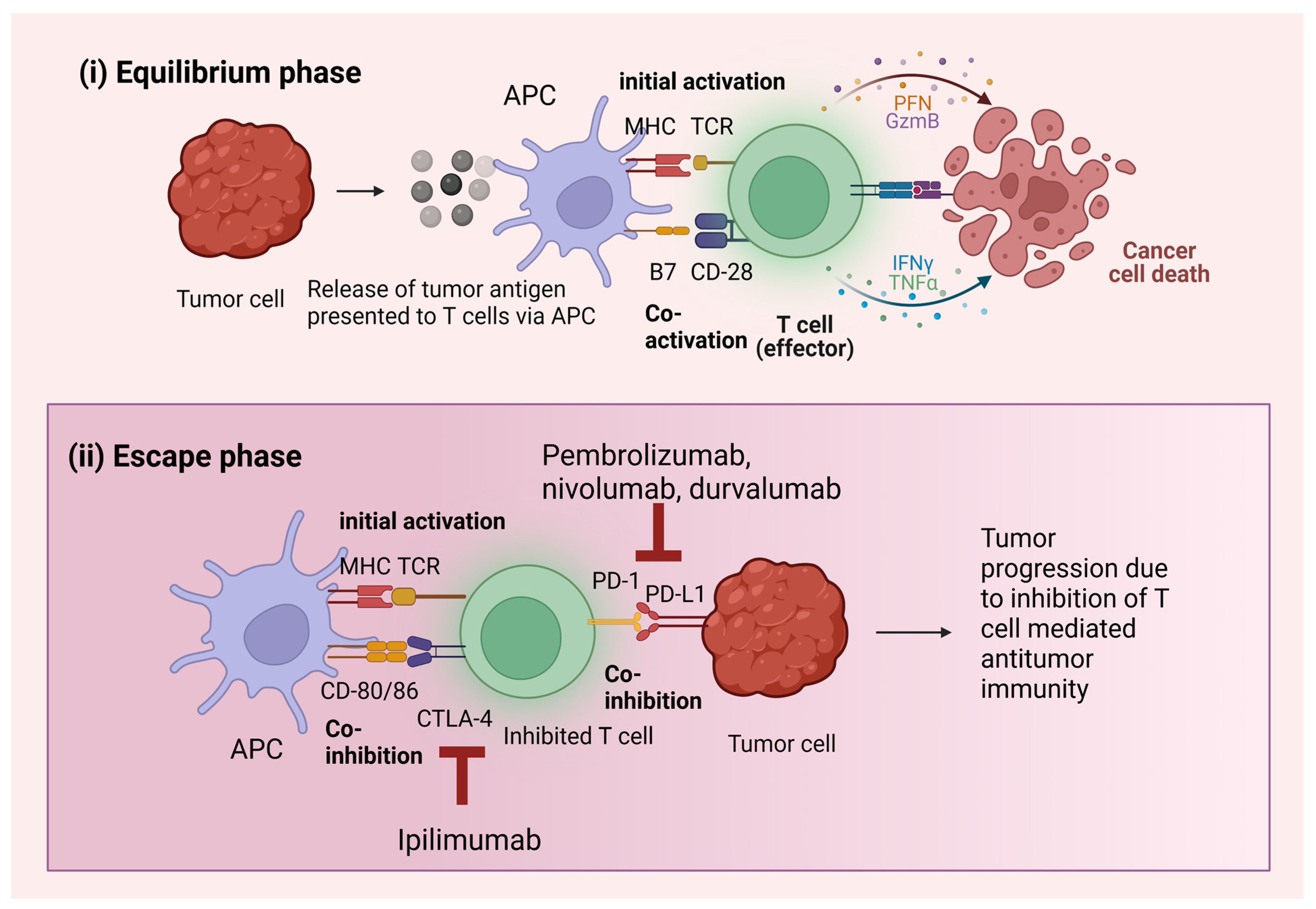 Cancers 15 00543 g001