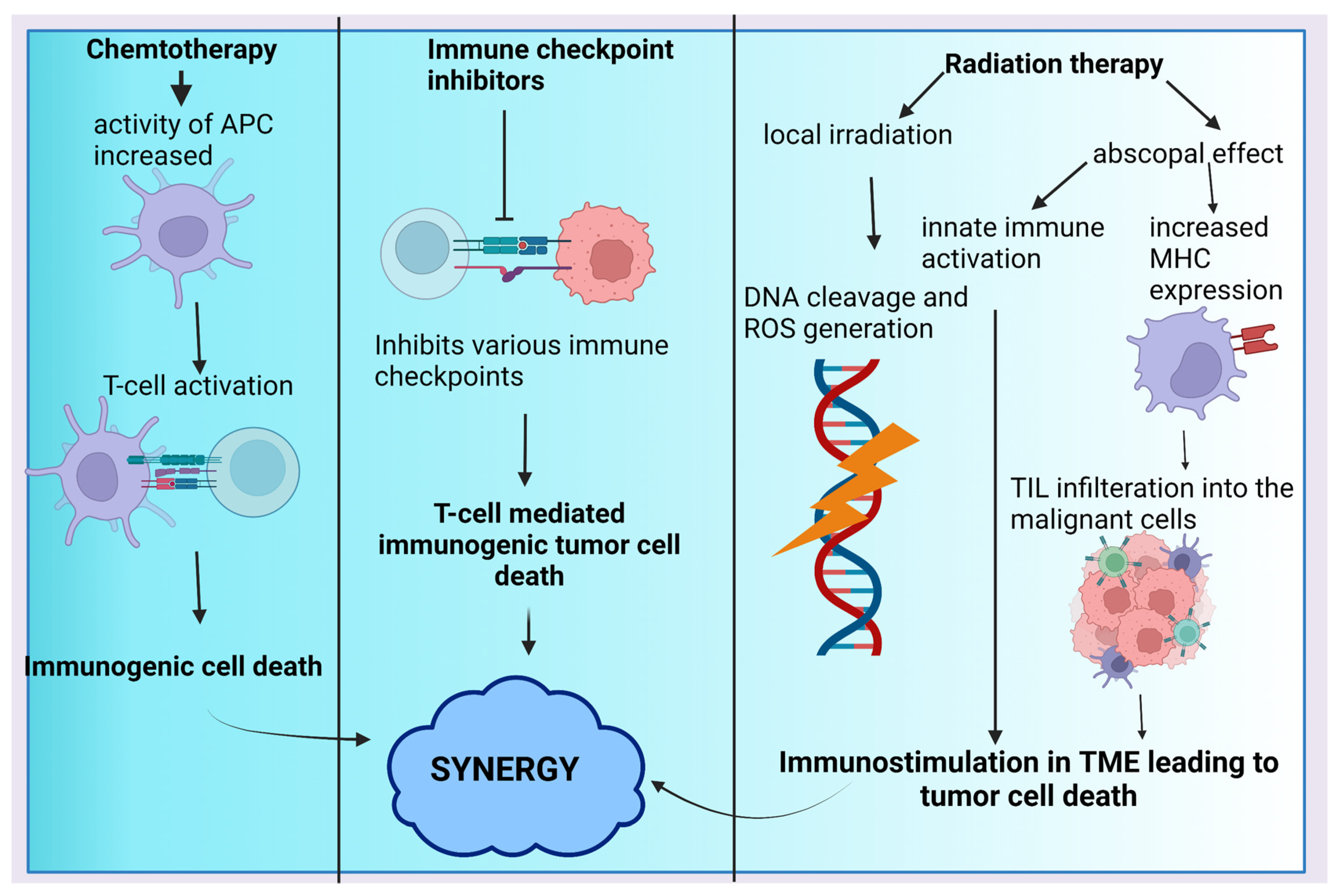 Cancers 15 00543 g003