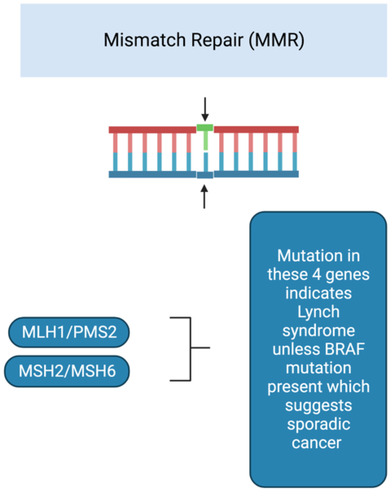 Cancers 15 00552 g002