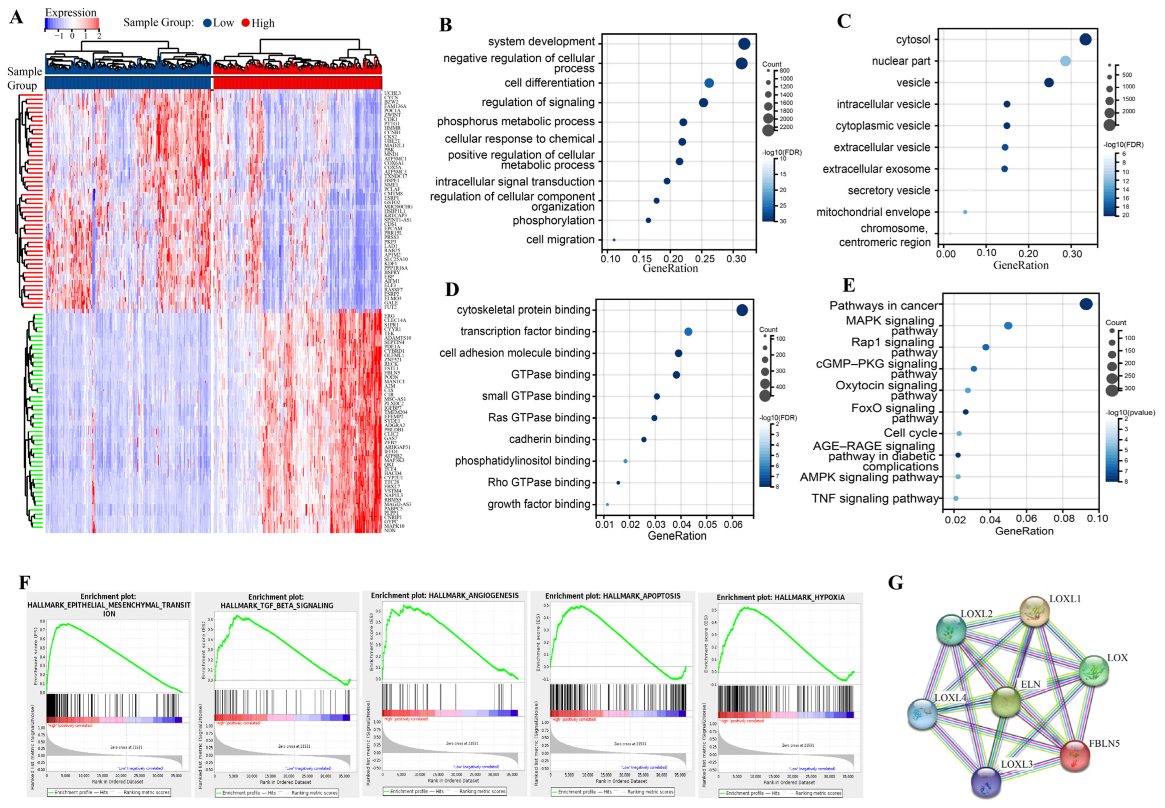 Cancers 15 00553 g002