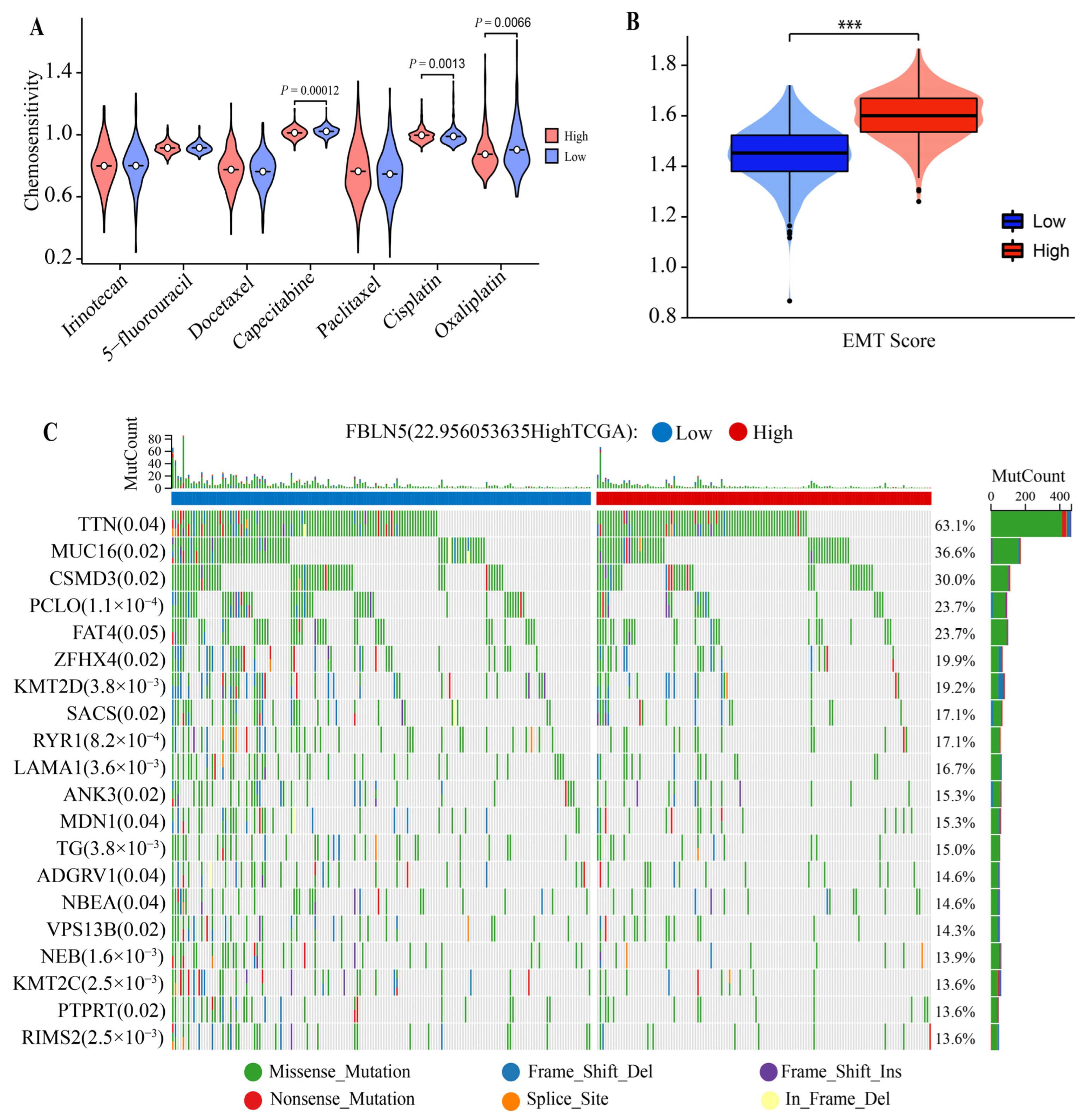 Cancers 15 00553 g005