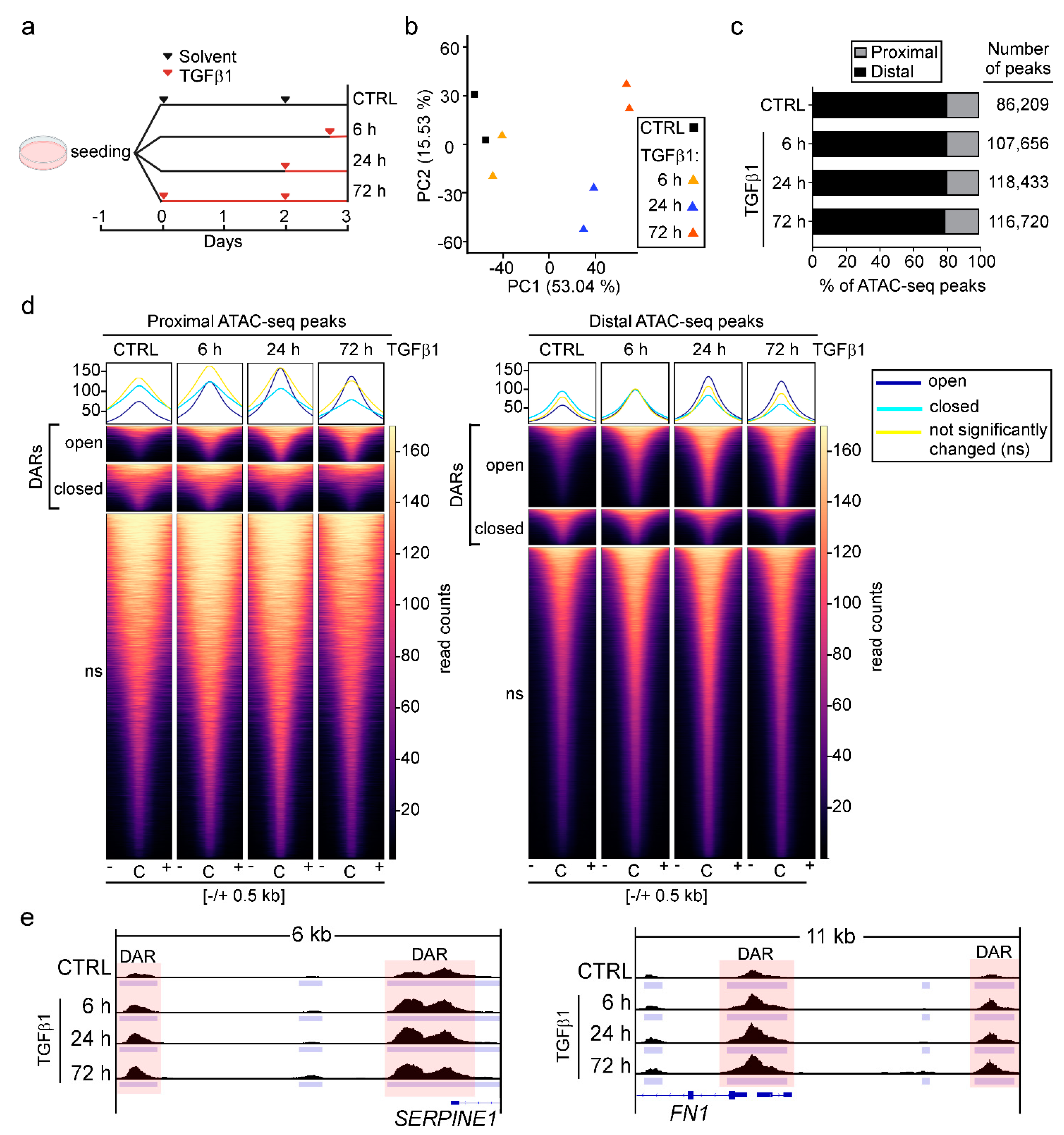 Cancers 15 00558 g001 Cancers 15 00558 g001