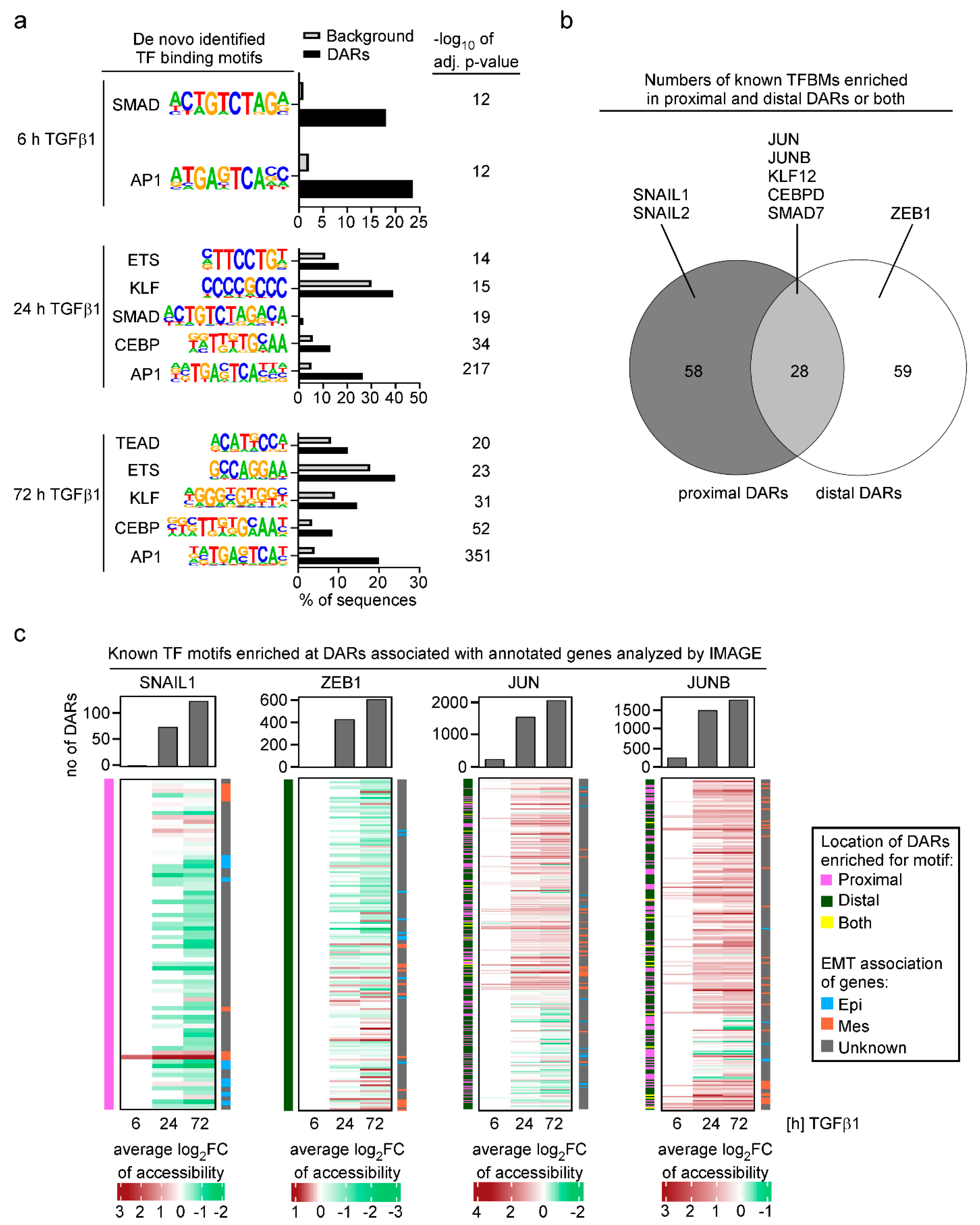 Cancers 15 00558 g003 Cancers 15 00558 g003