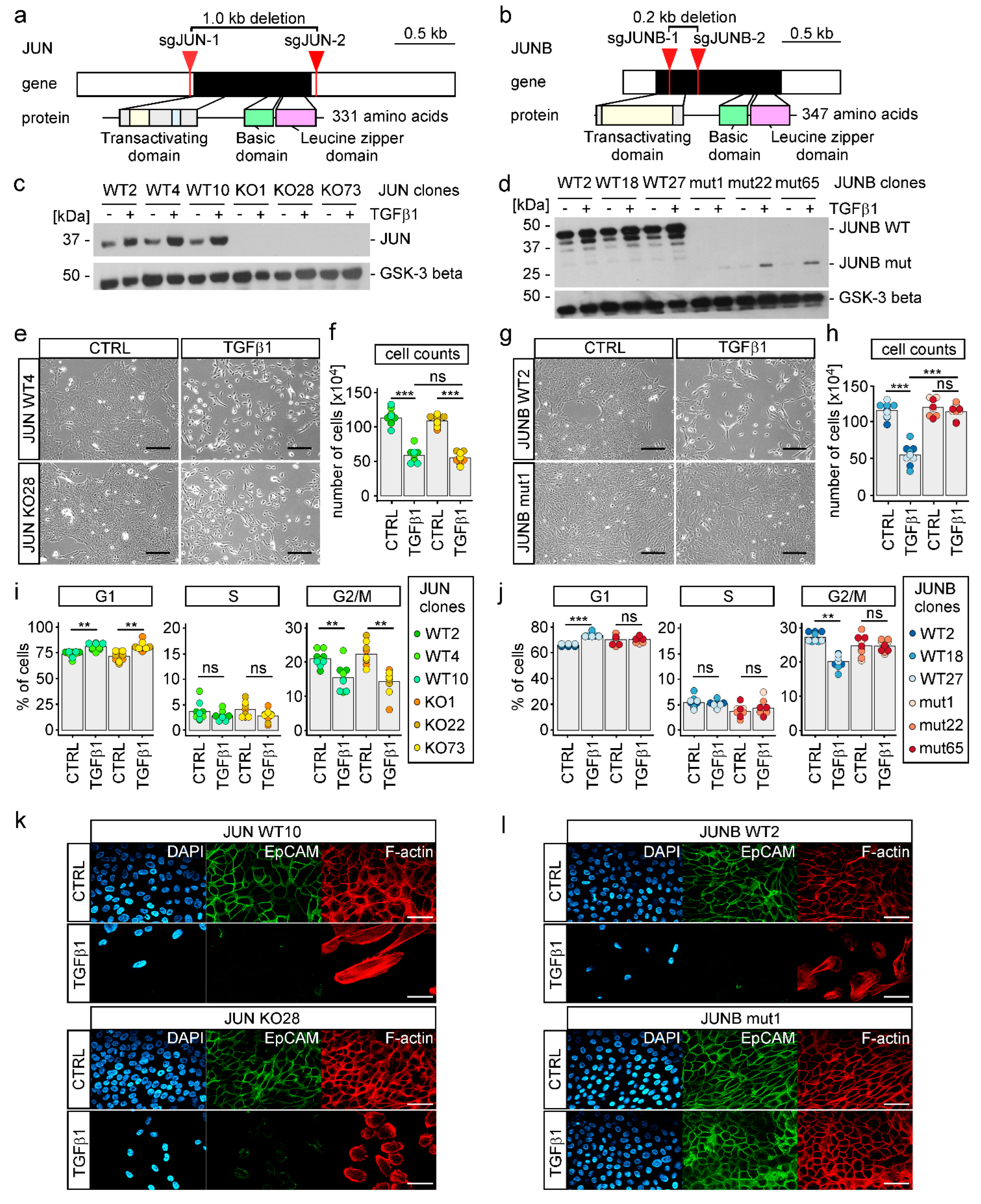 Cancers 15 00558 g005 Cancers 15 00558 g005