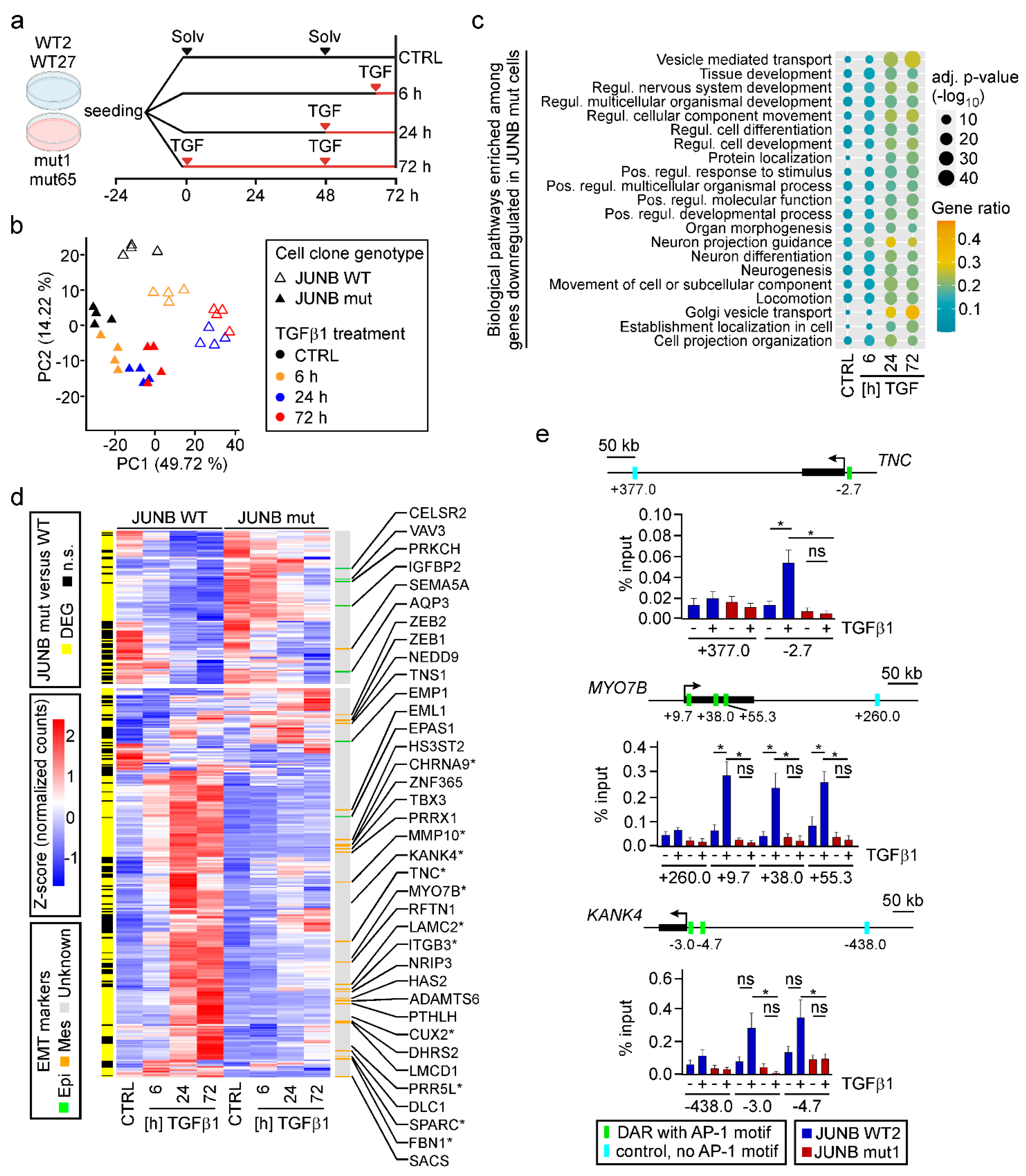 Cancers 15 00558 g007 Cancers 15 00558 g007