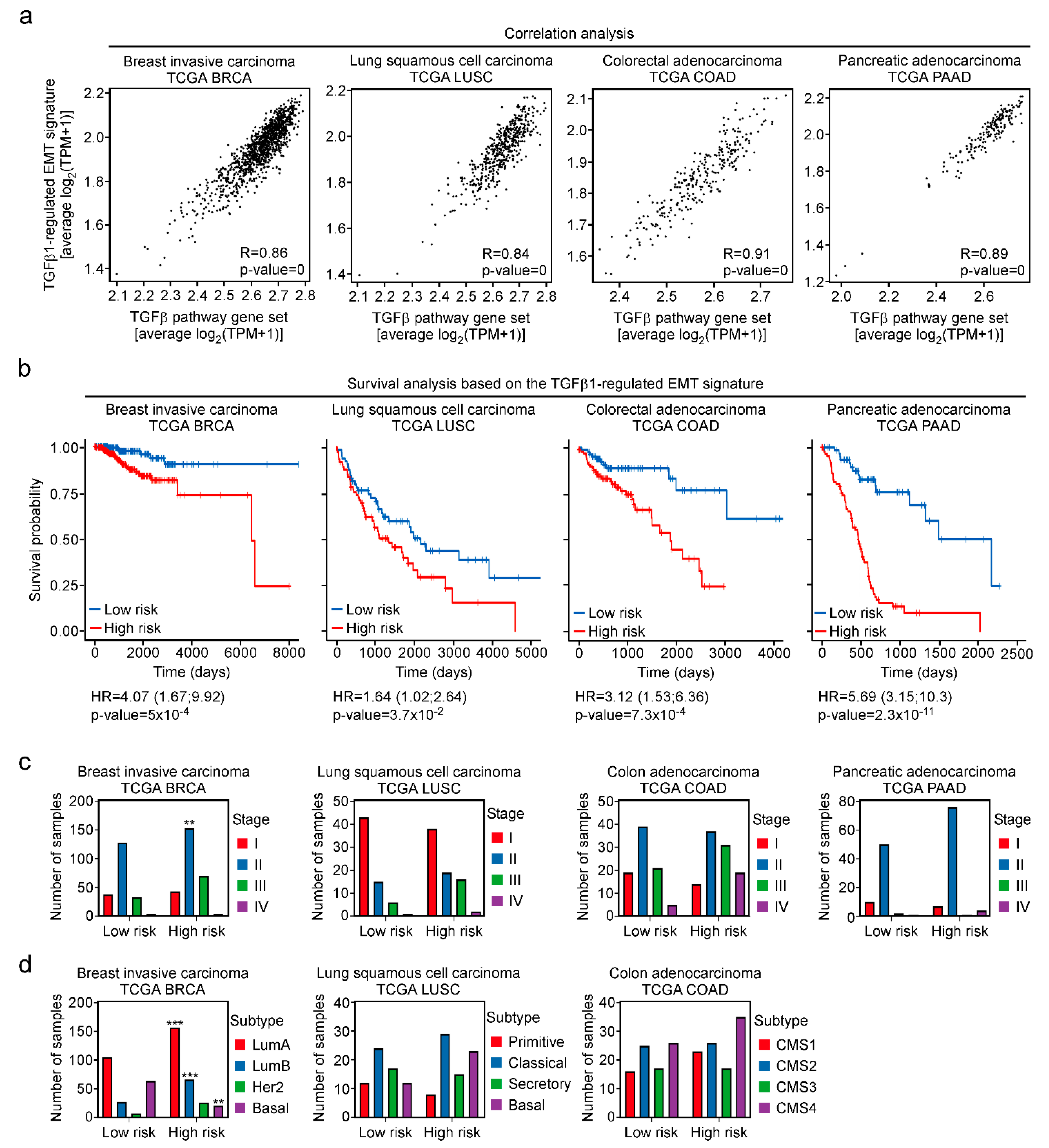 Cancers 15 00558 g008 Cancers 15 00558 g008
