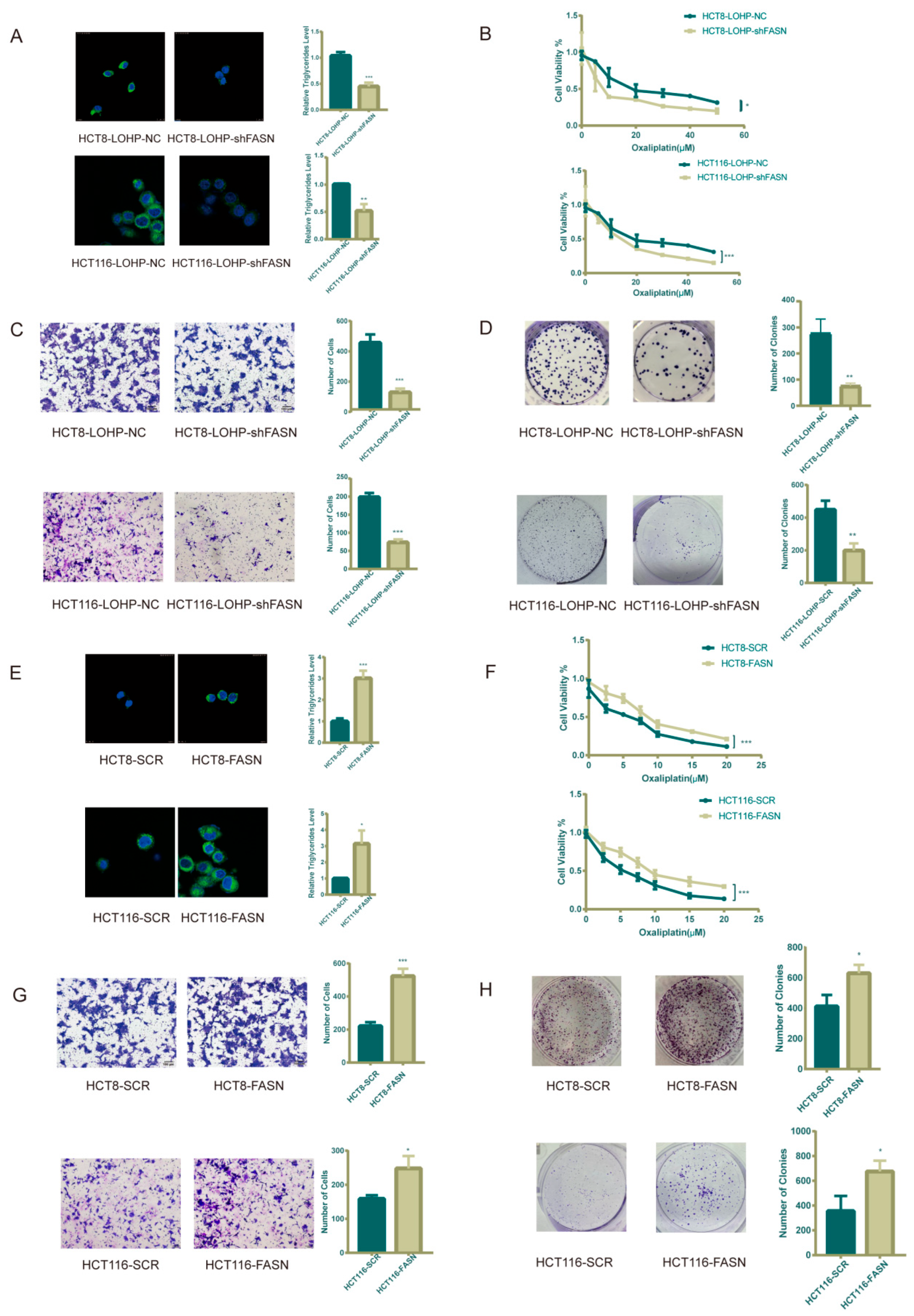 Cancers 15 00562 g002