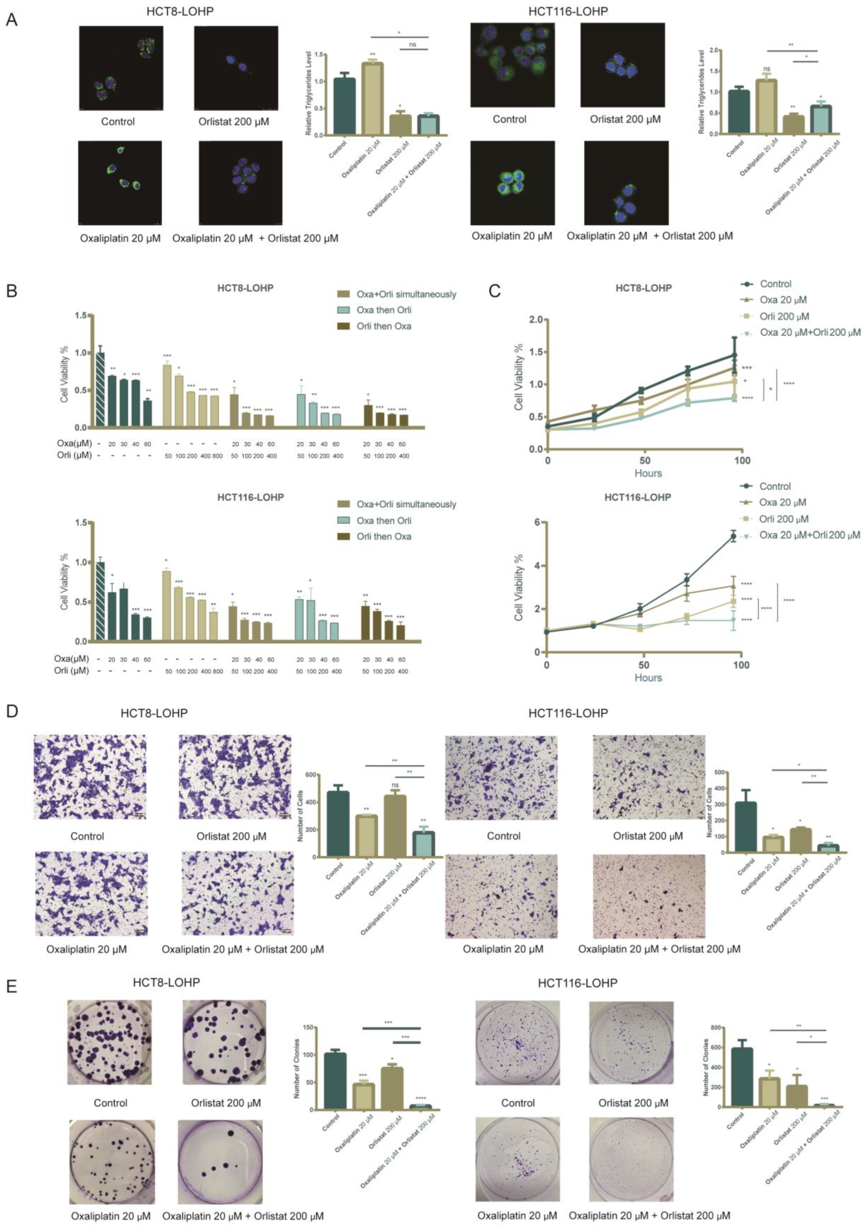 Cancers 15 00562 g003