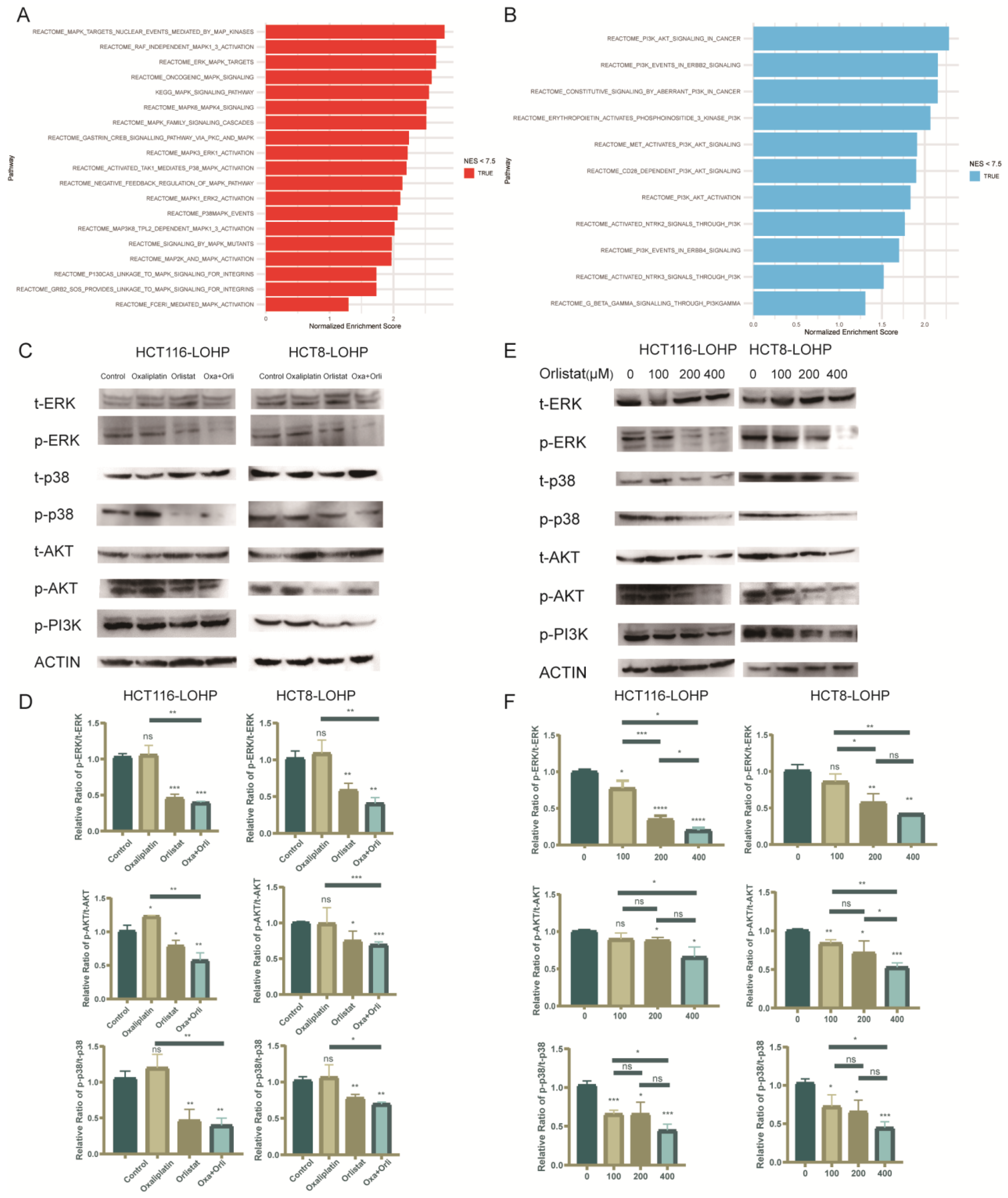 Cancers 15 00562 g005