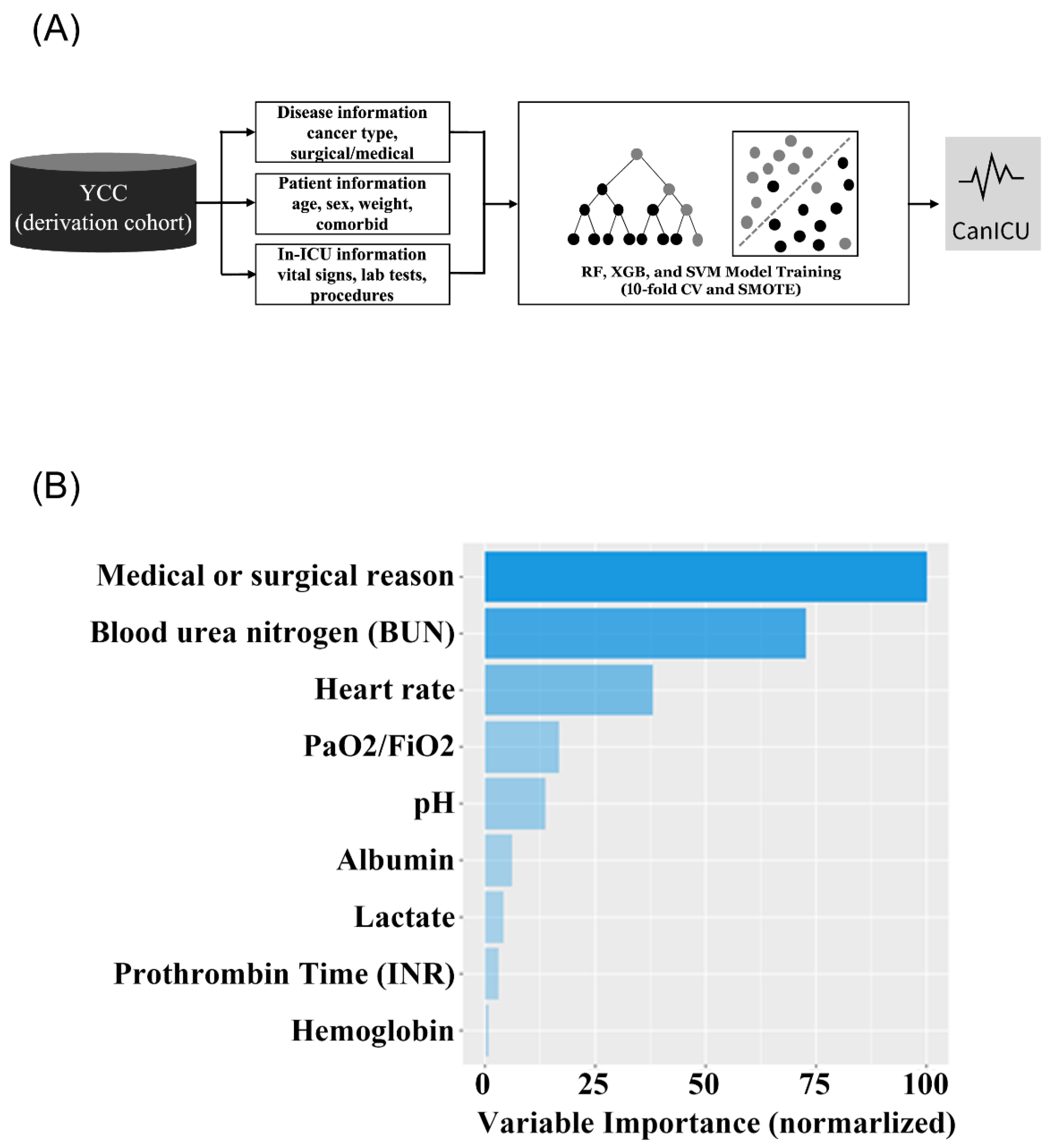 Cancers 15 00569 g001