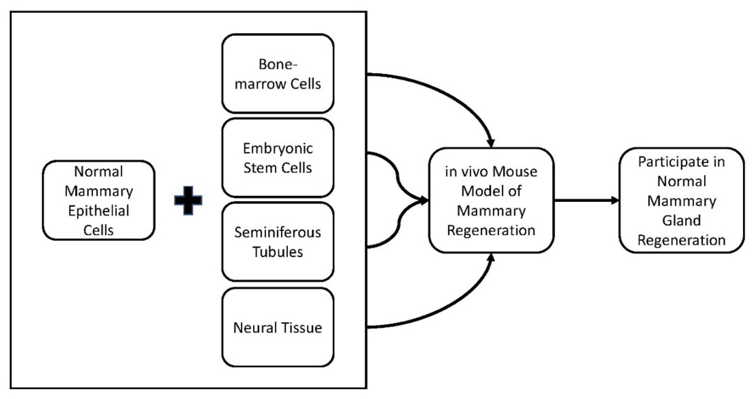 Cancers 15 00576 g001