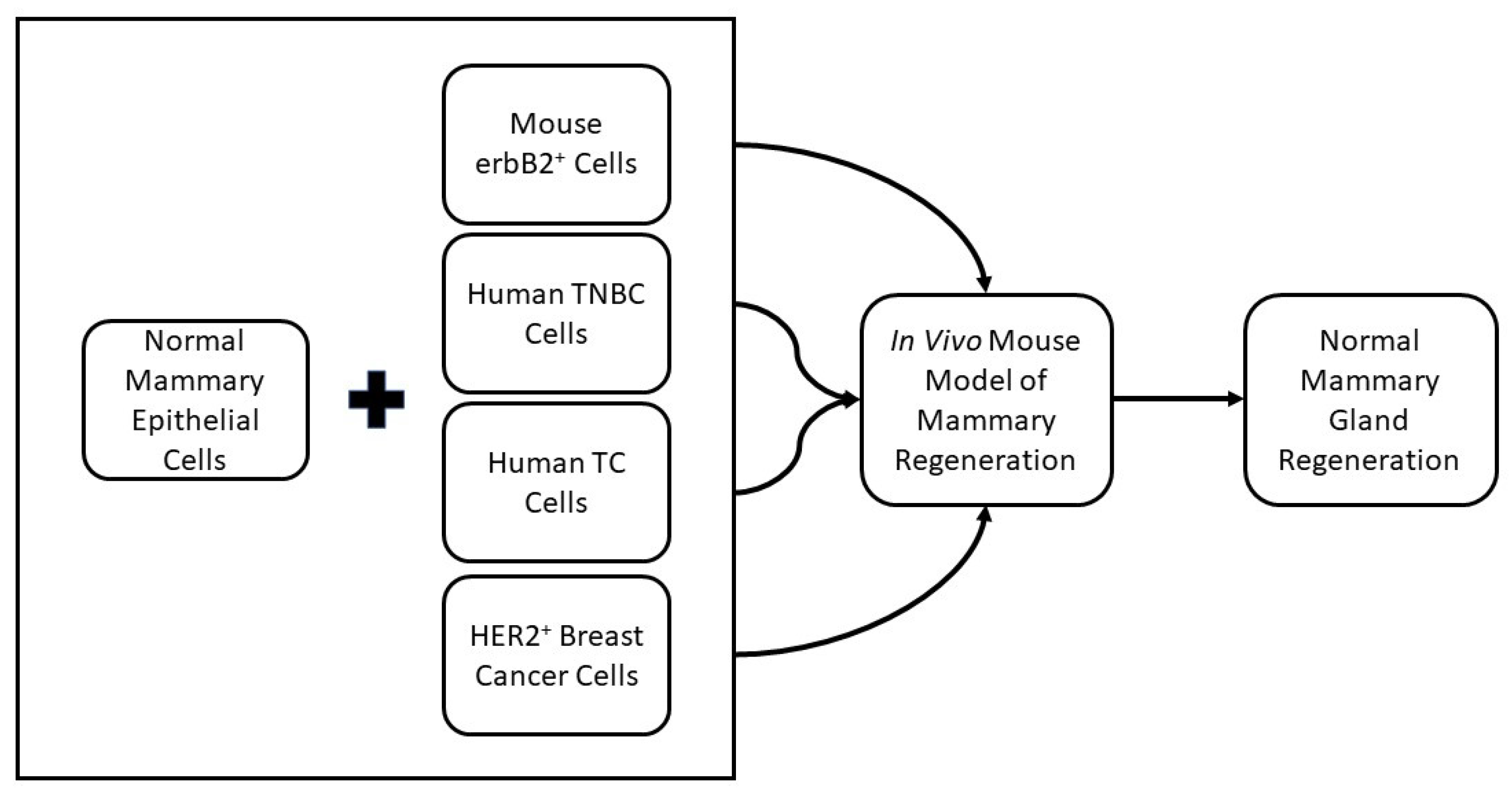 Cancers 15 00576 g002