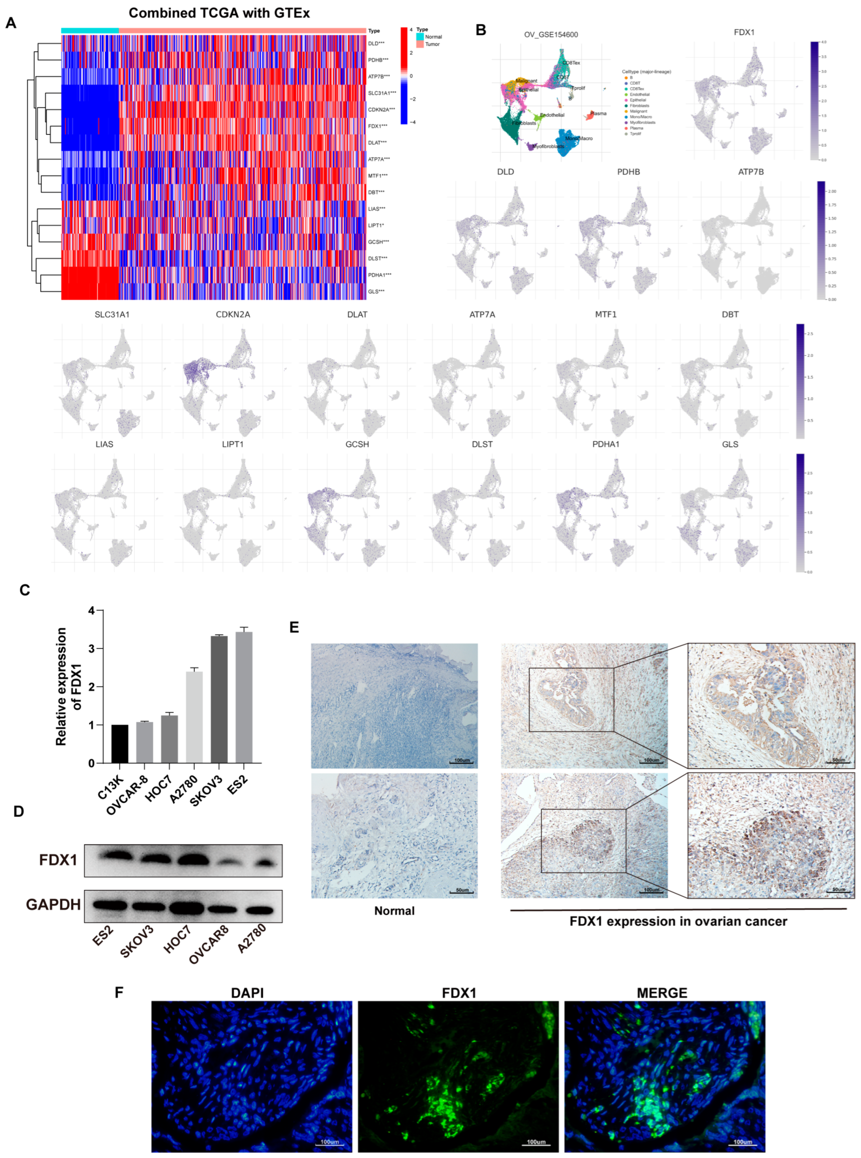 Cancers 15 00579 g002 Cancers 15 00579 g002