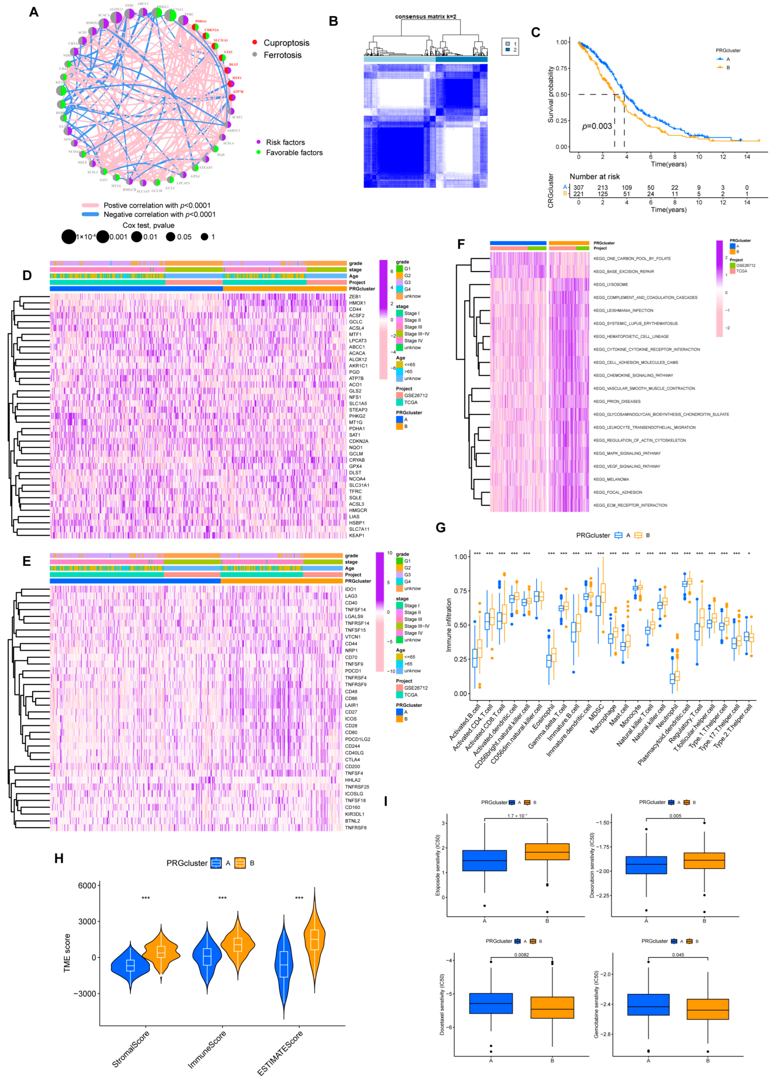 Cancers 15 00579 g003 Cancers 15 00579 g003