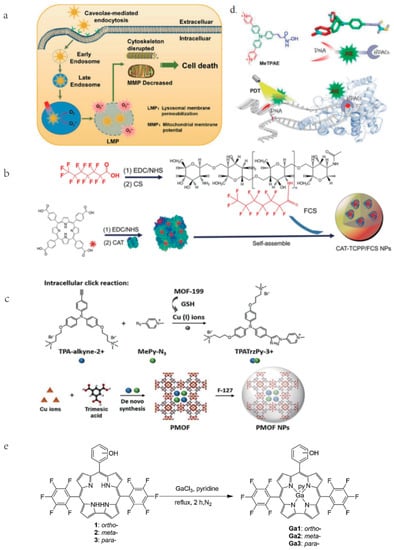 Cancers 15 00585 g002