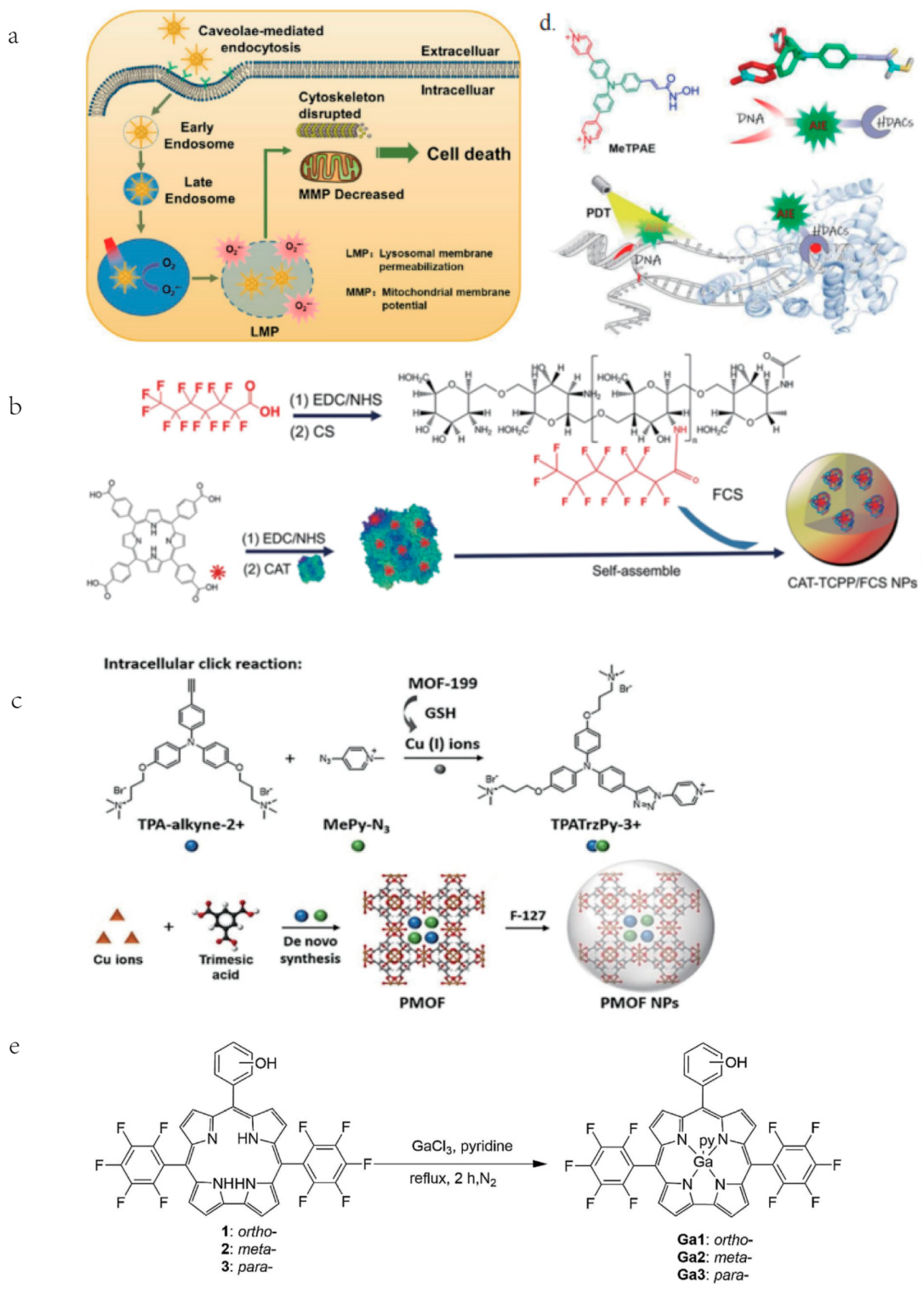 Cancers 15 00585 g002