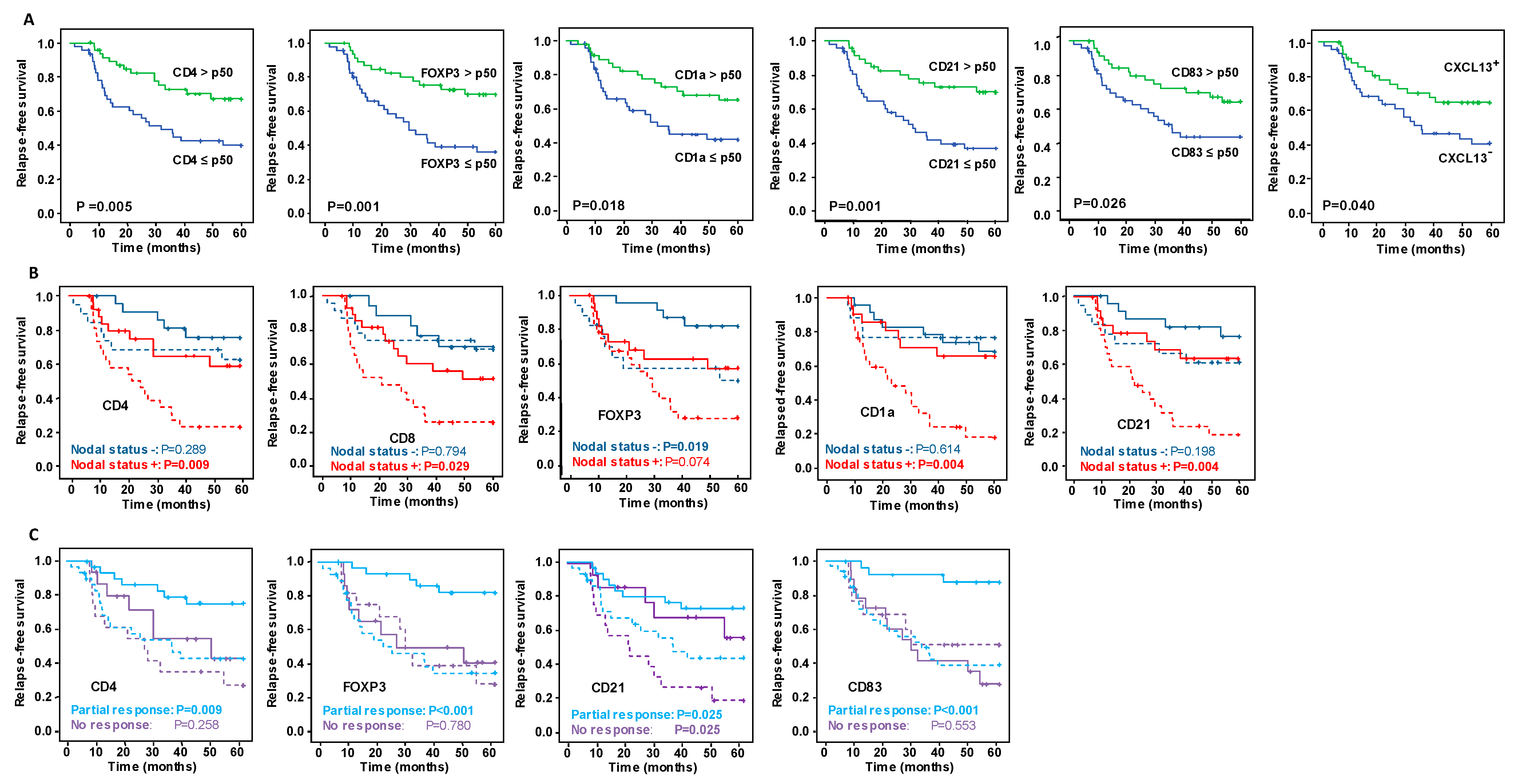 Cancers 15 00597 g002