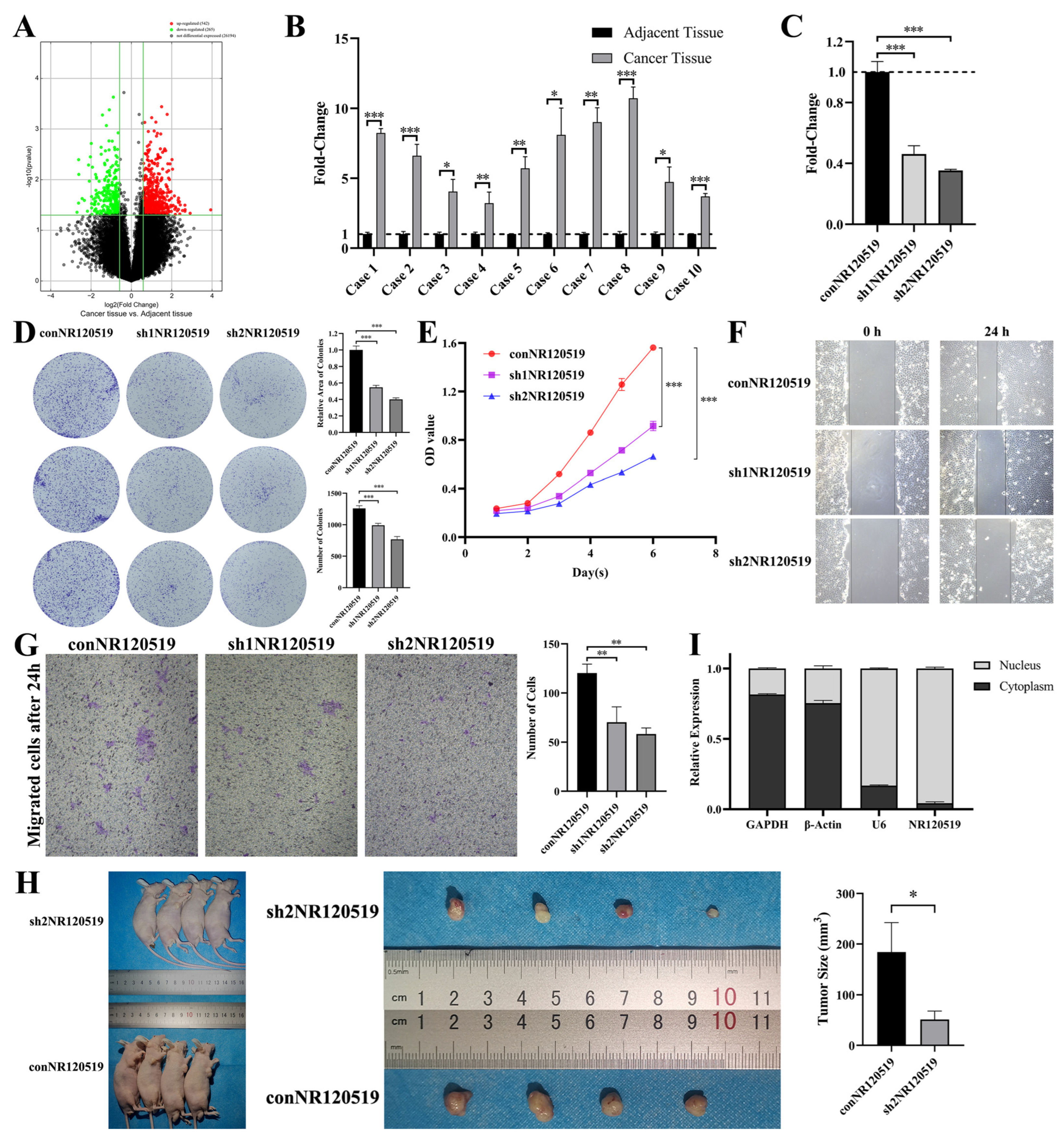 Cancers 15 00603 g001