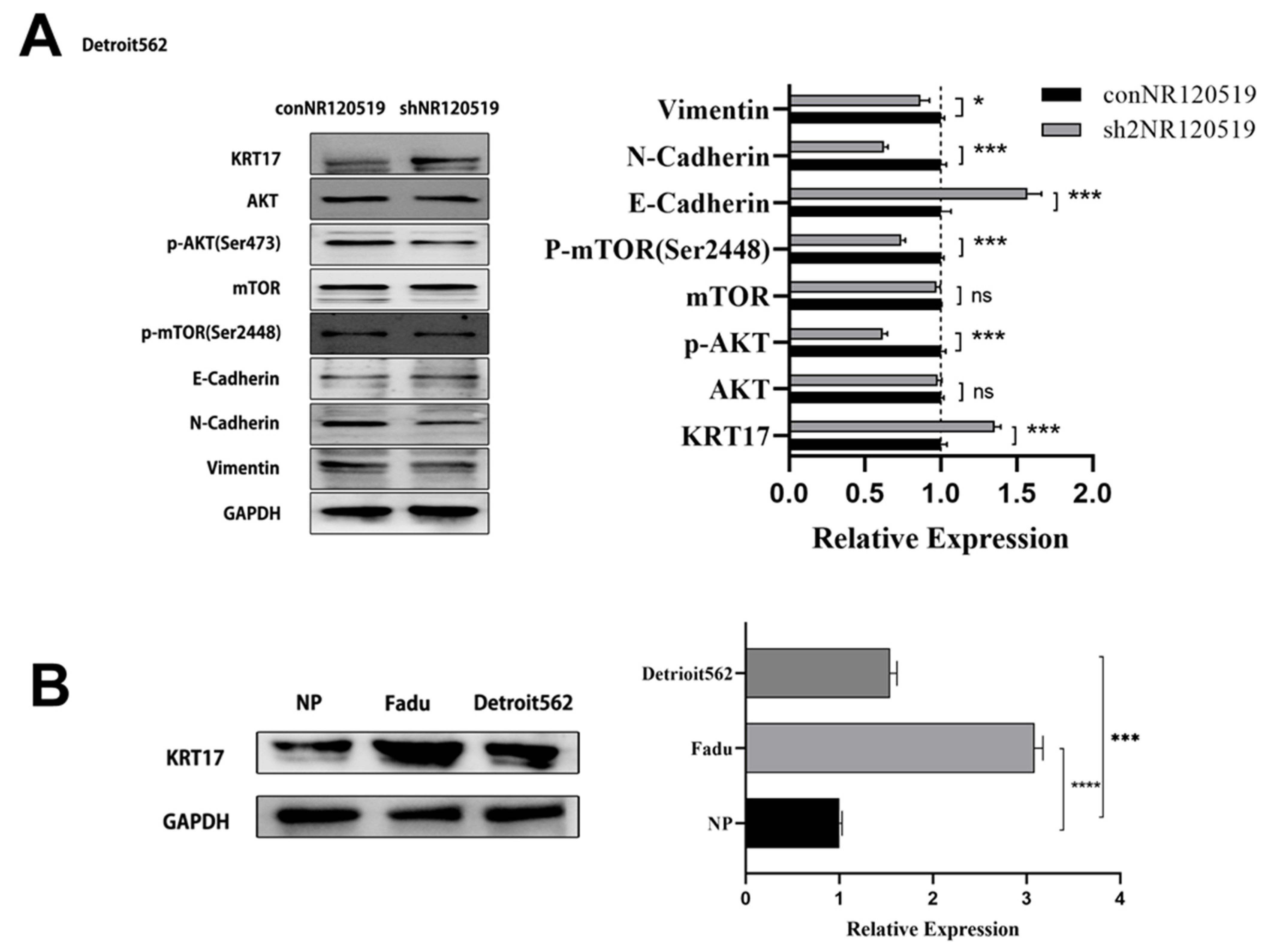 Cancers 15 00603 g004