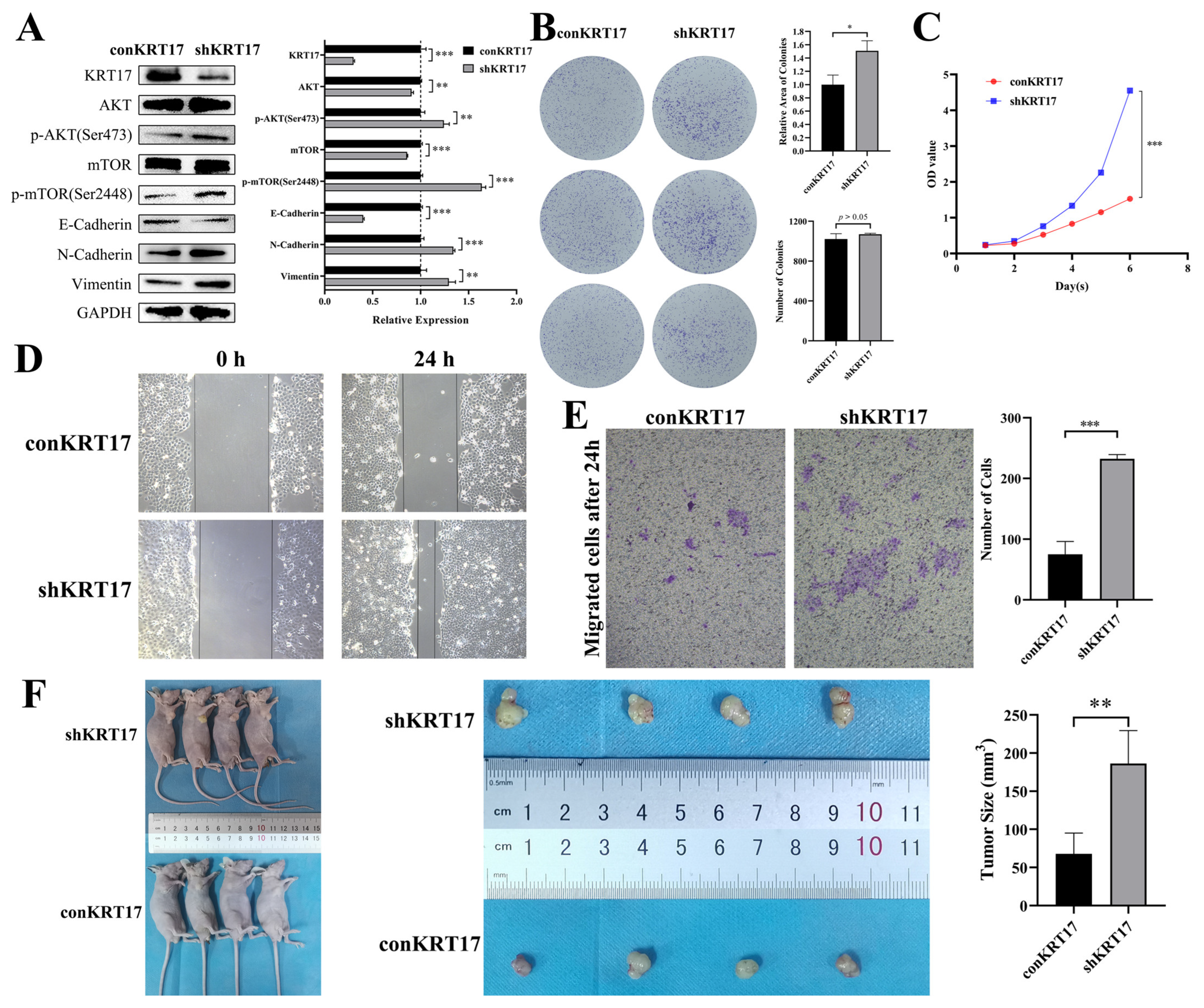 Cancers 15 00603 g005