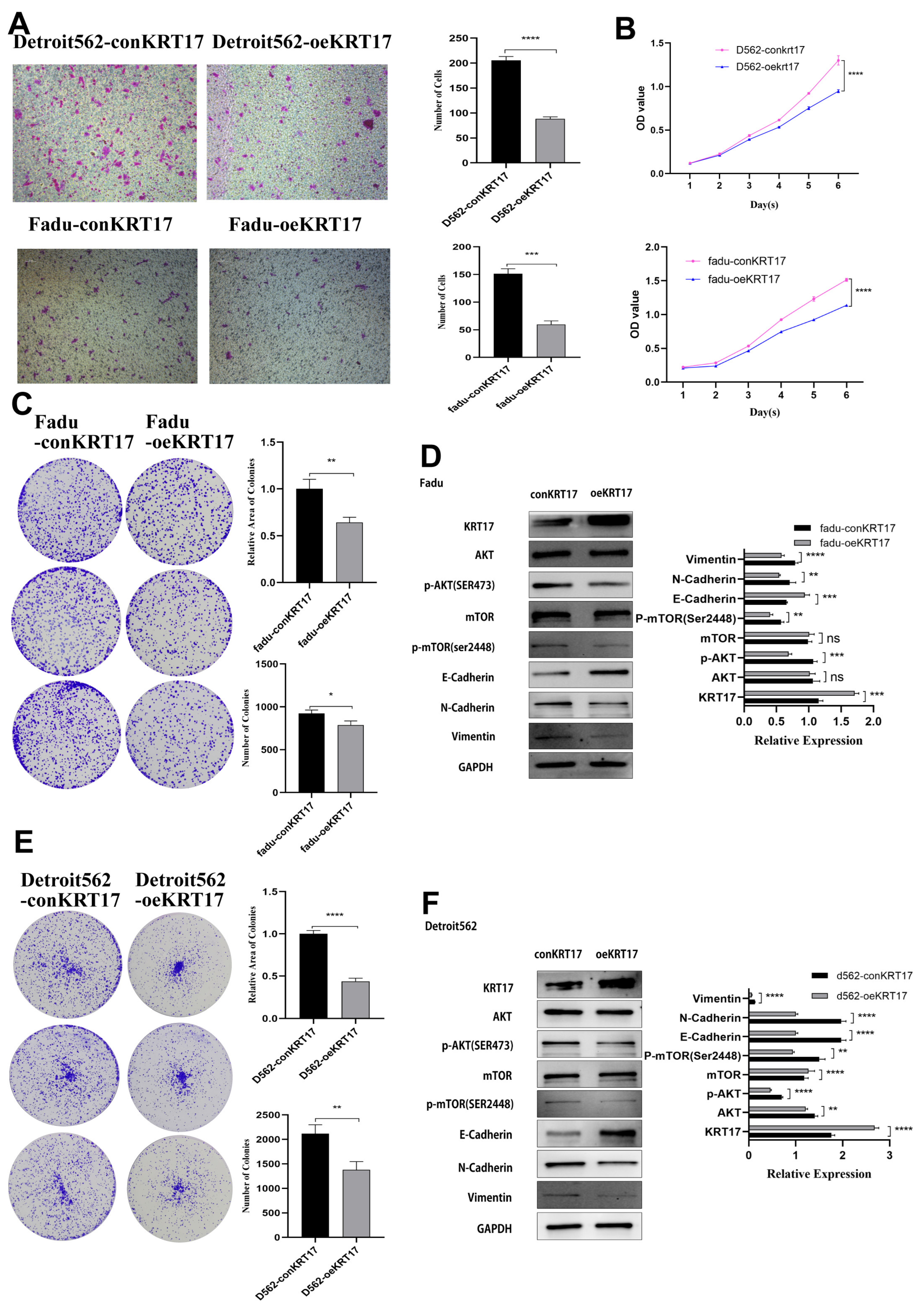 Cancers 15 00603 g007