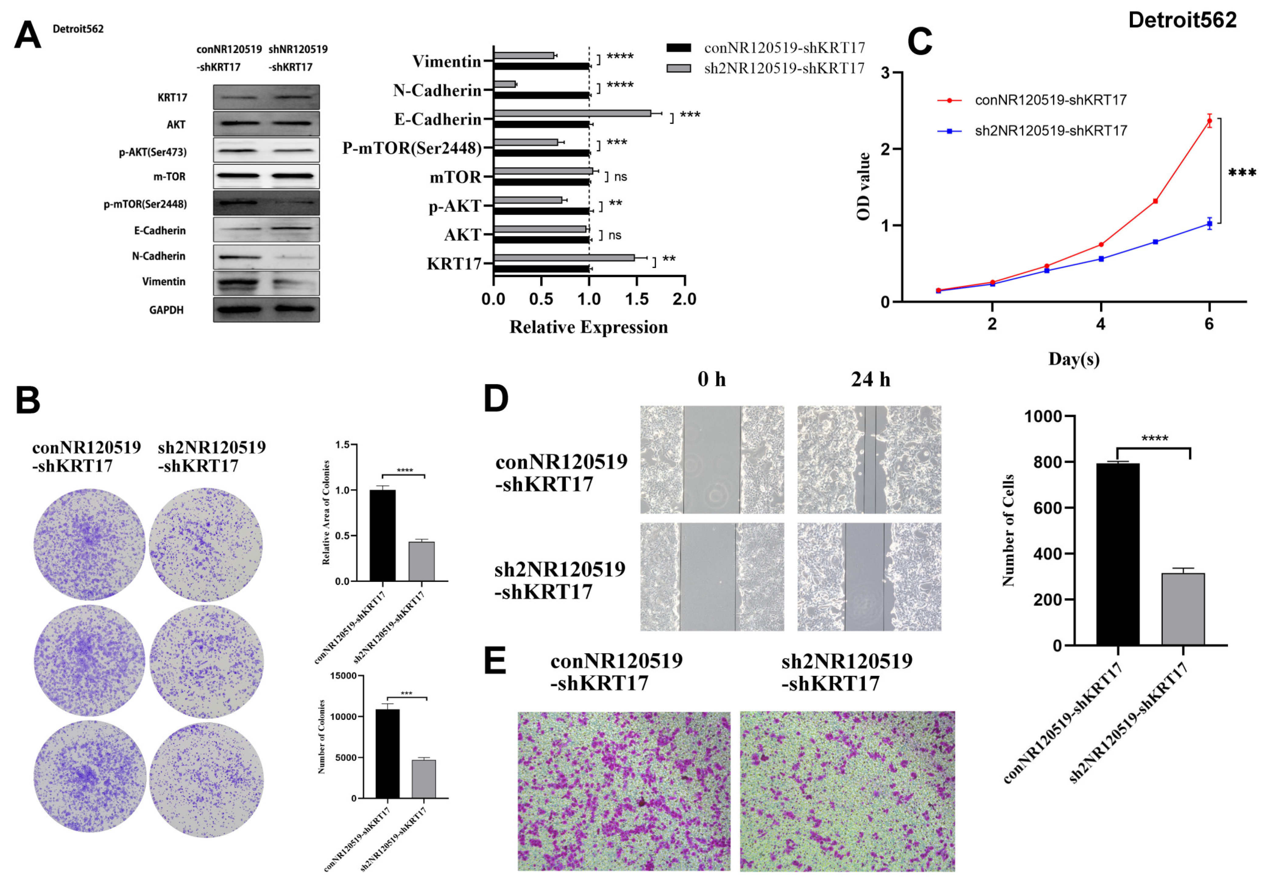 Cancers 15 00603 g009