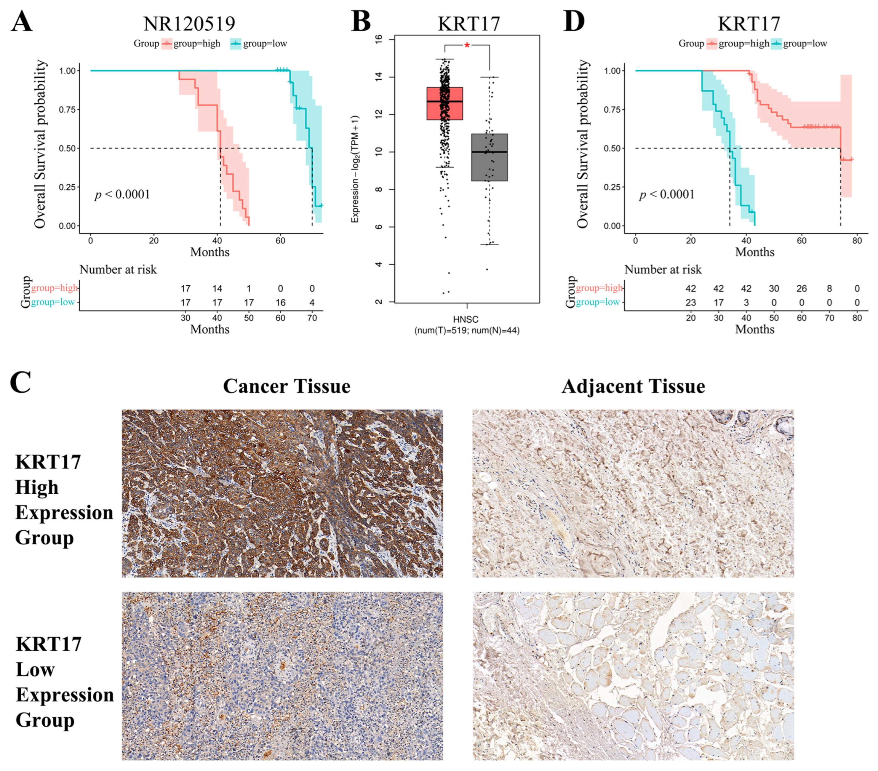 Cancers 15 00603 g010