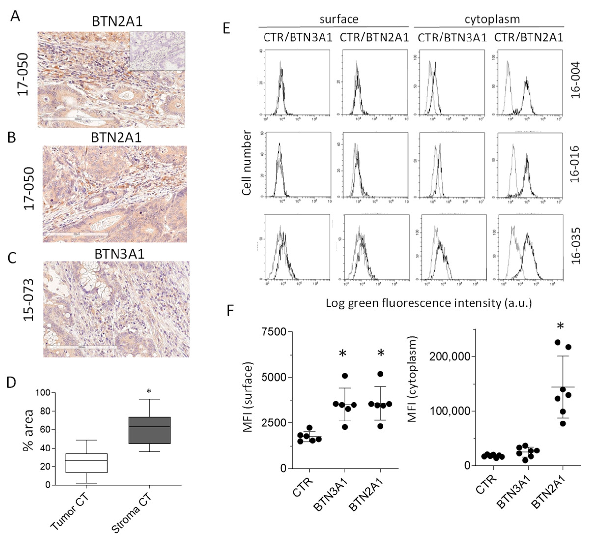 Cancers 15 00610 g005 Cancers 15 00610 g005