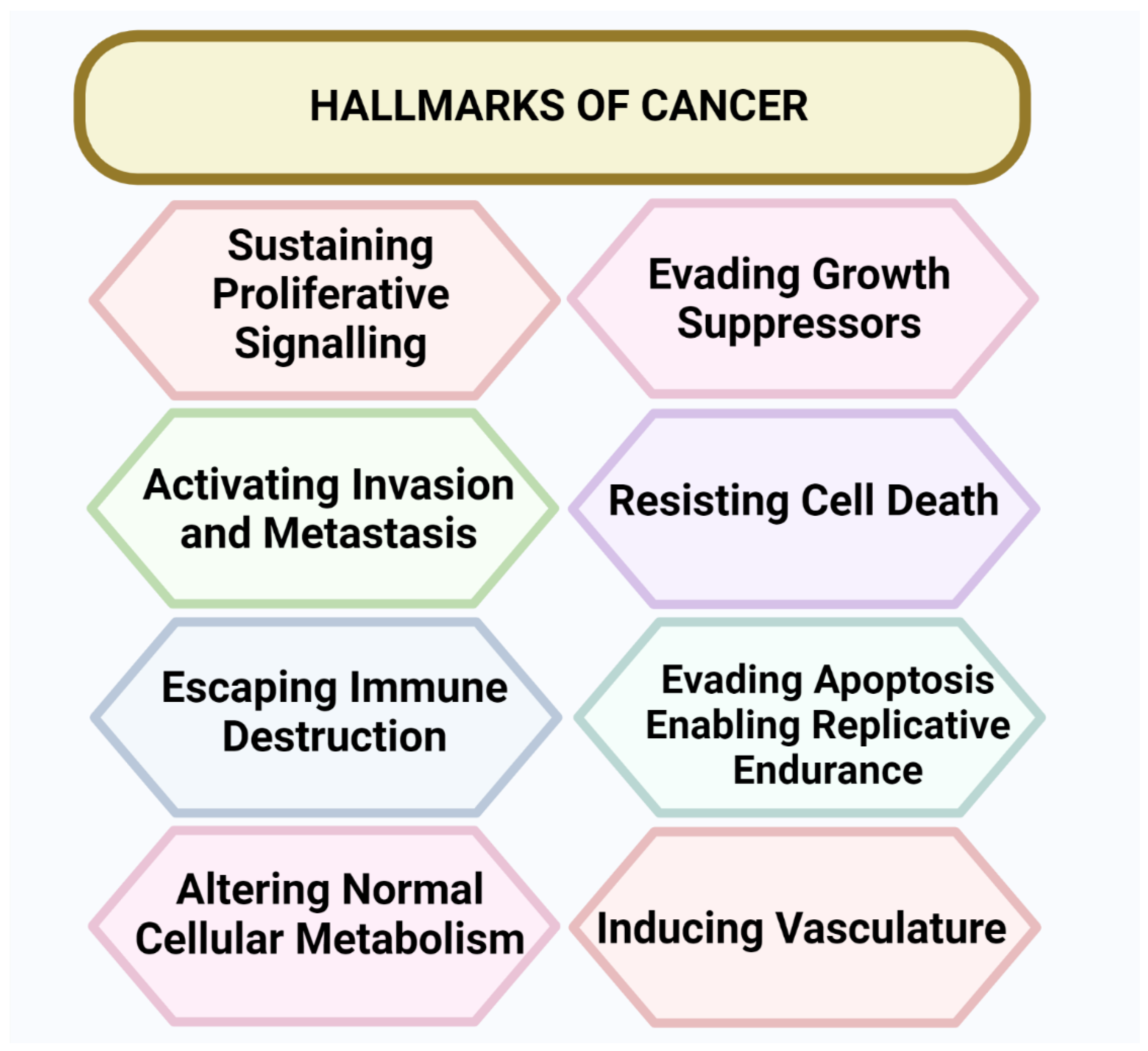 Cancers 15 00626 g001