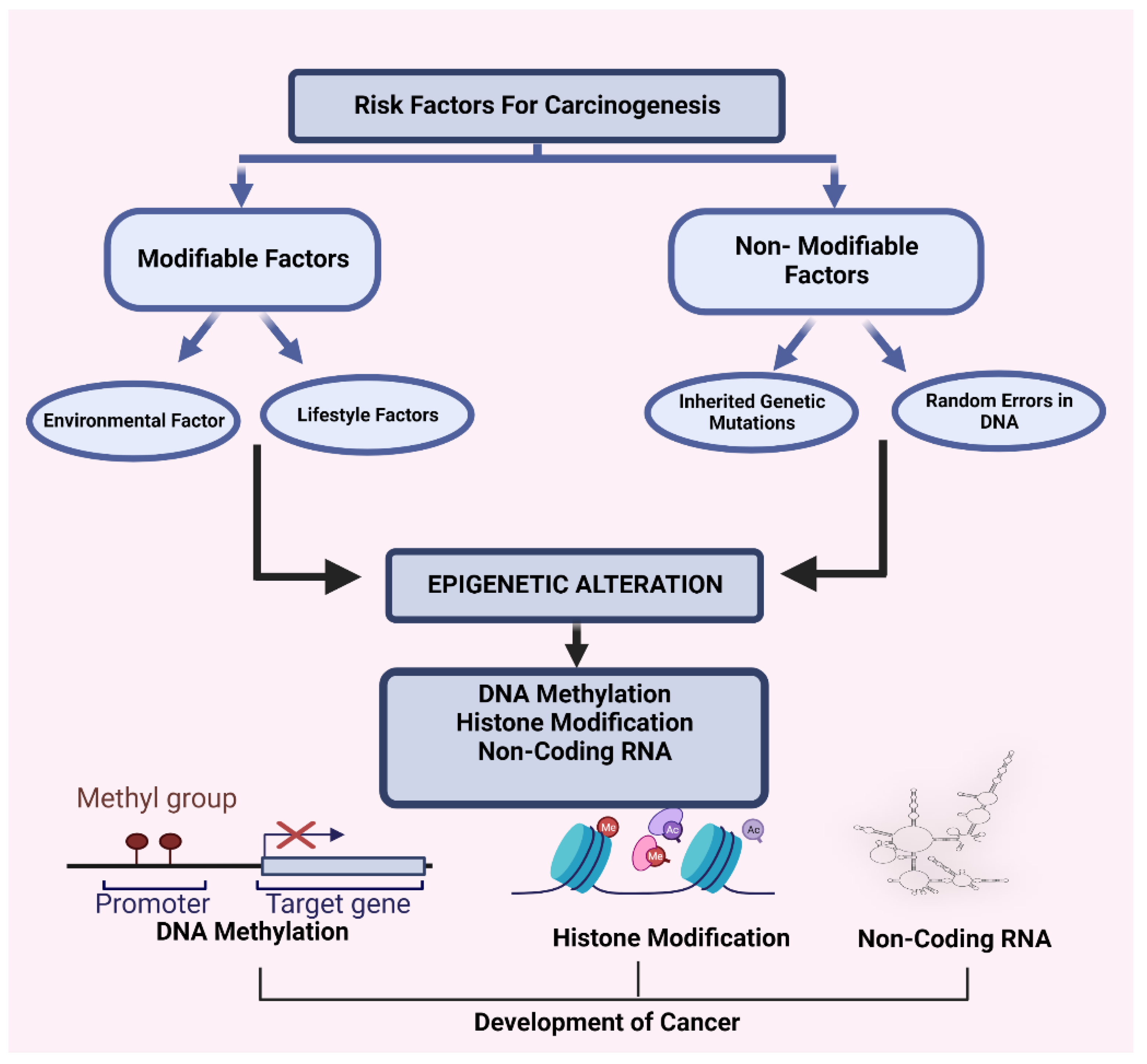 Cancers 15 00626 g003