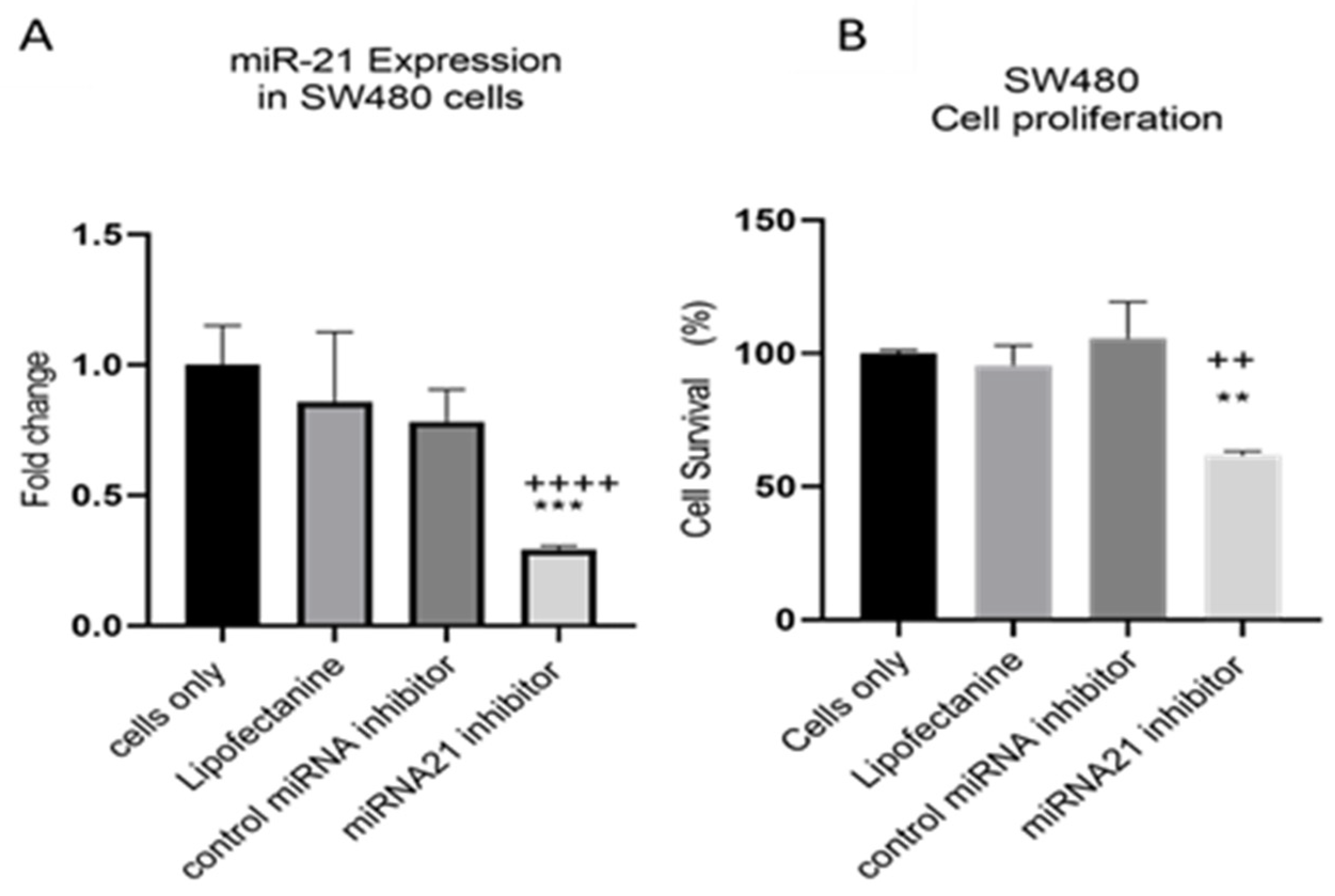 Cancers 15 00627 g004 Cancers 15 00627 g004