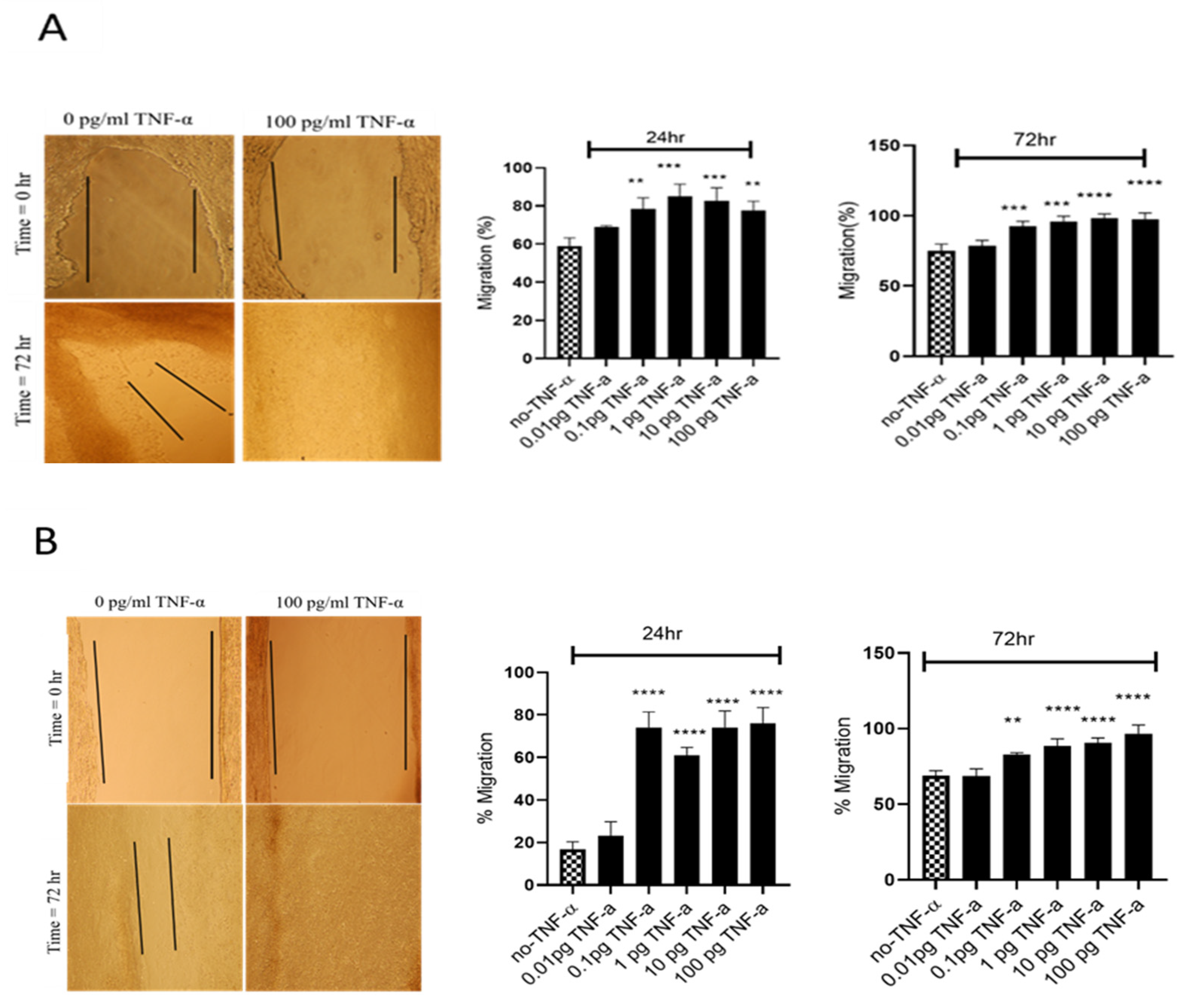 Cancers 15 00627 g005 Cancers 15 00627 g005