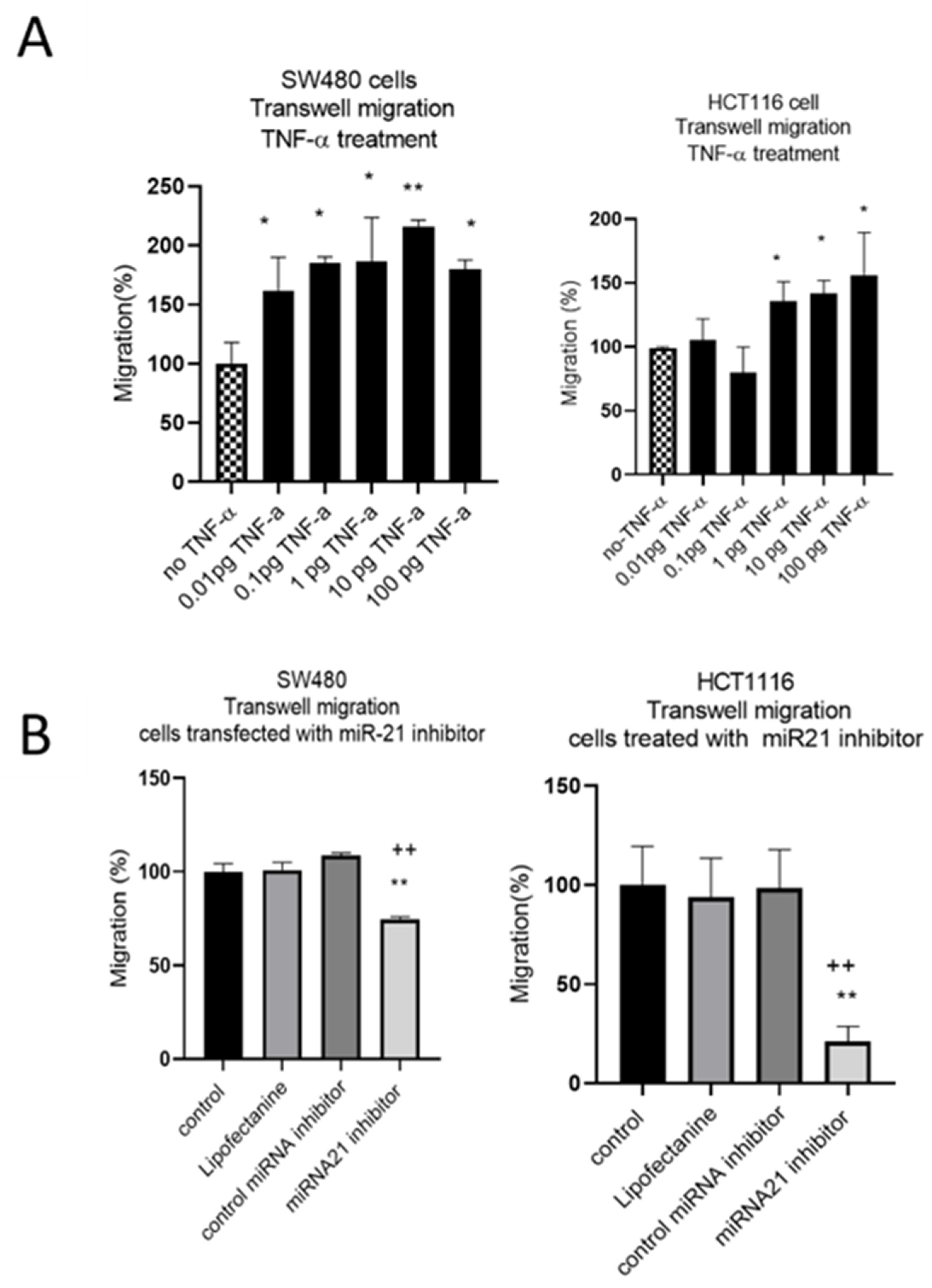 Cancers 15 00627 g006 Cancers 15 00627 g006