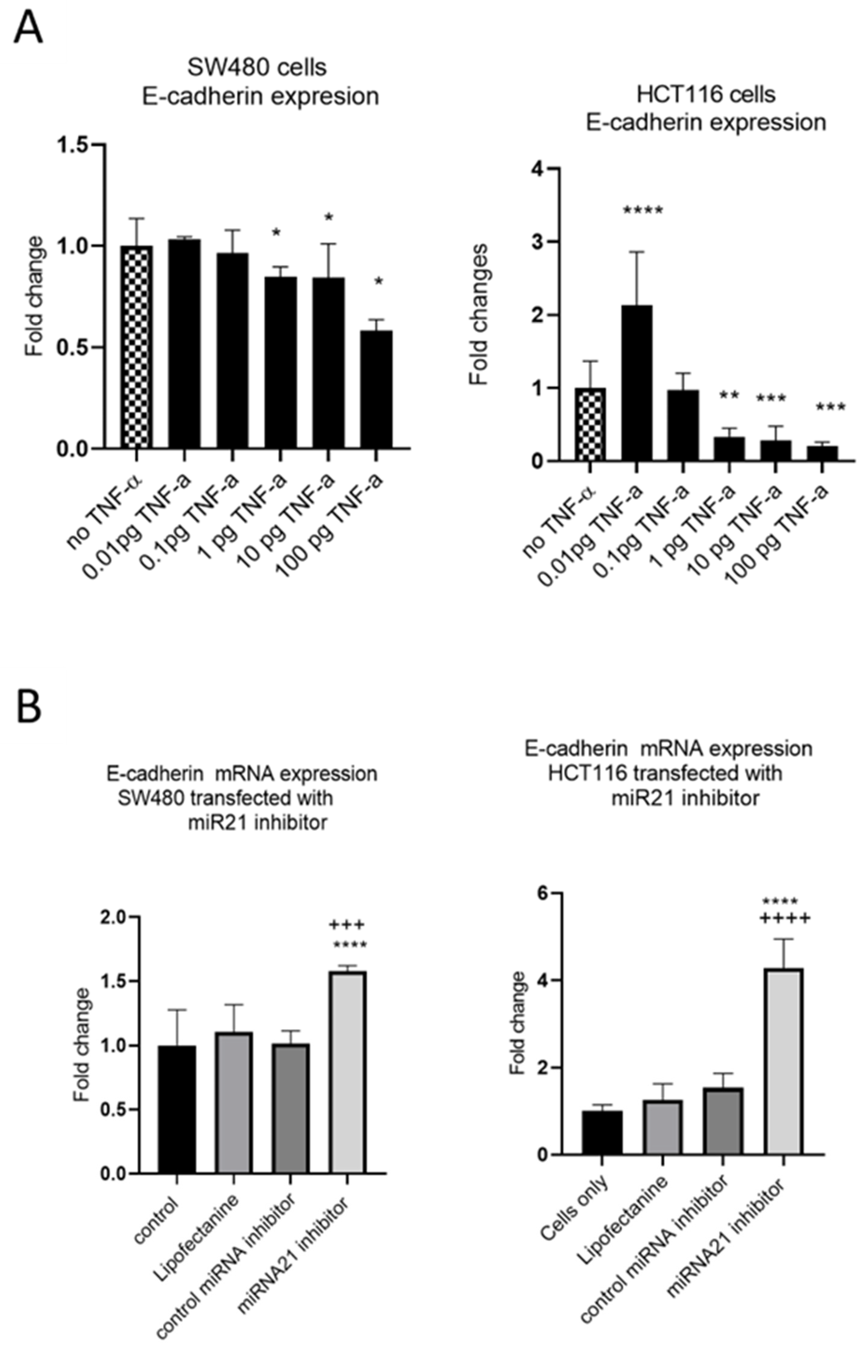 Cancers 15 00627 g008 Cancers 15 00627 g008