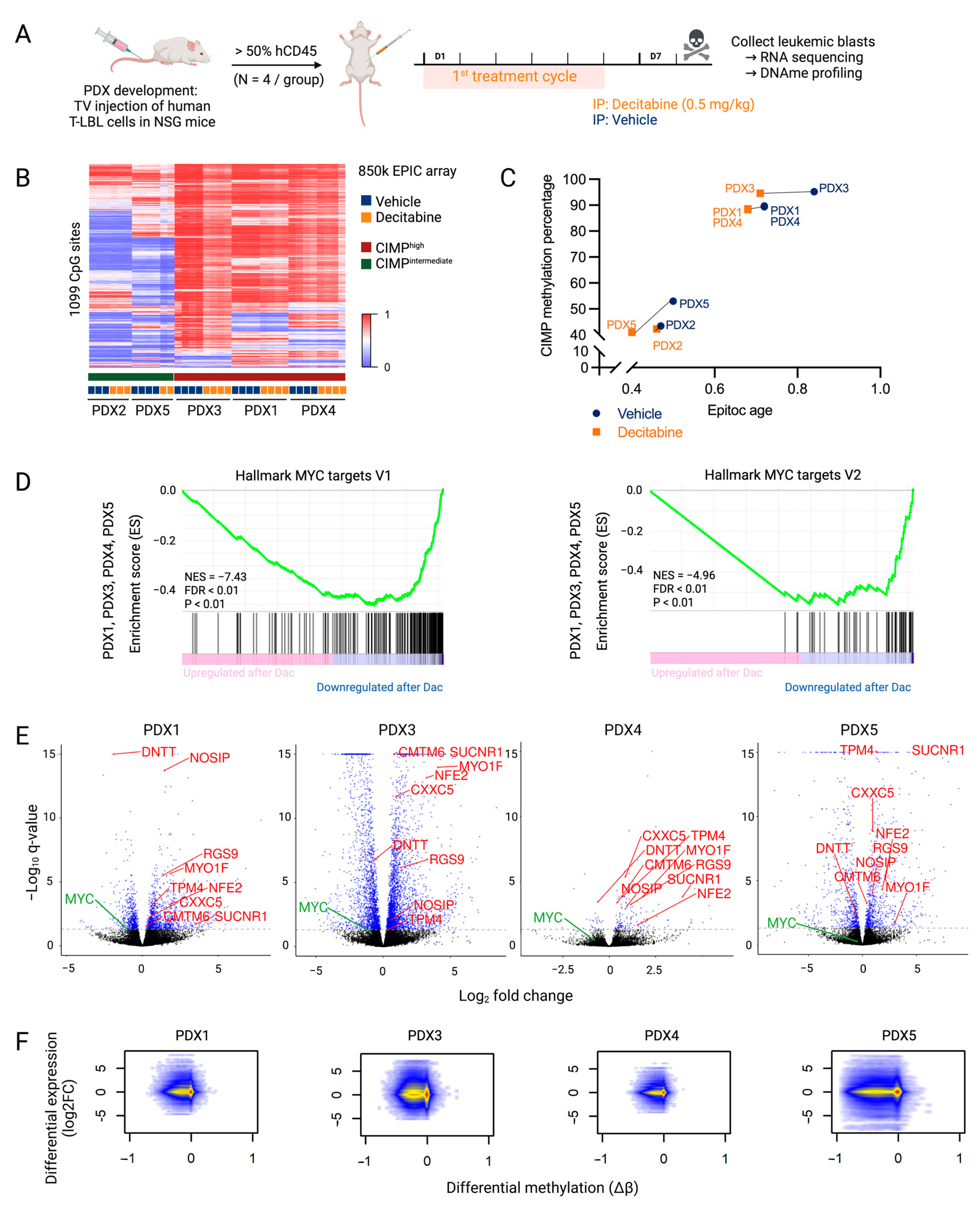 Cancers 15 00647 g002