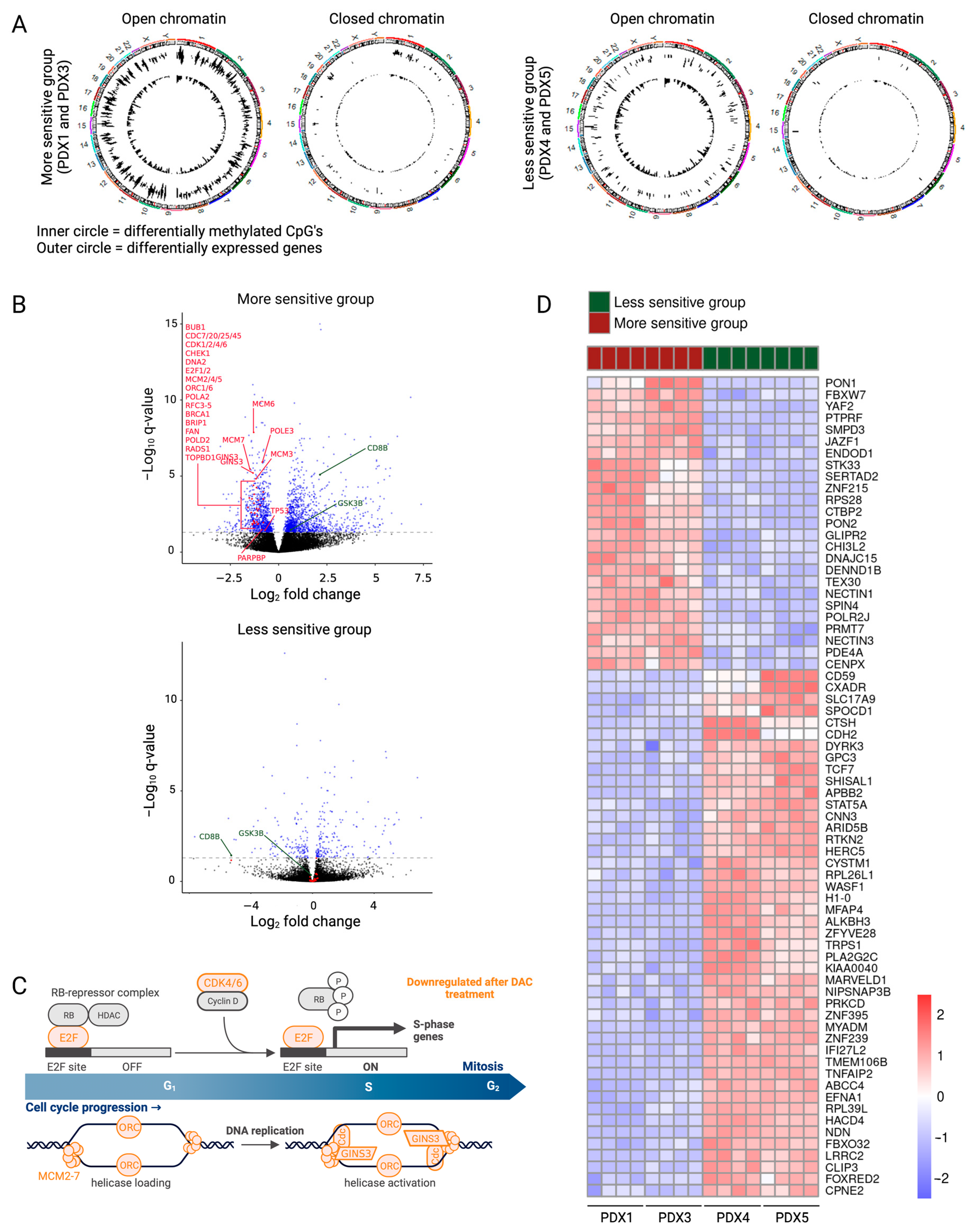 Cancers 15 00647 g003