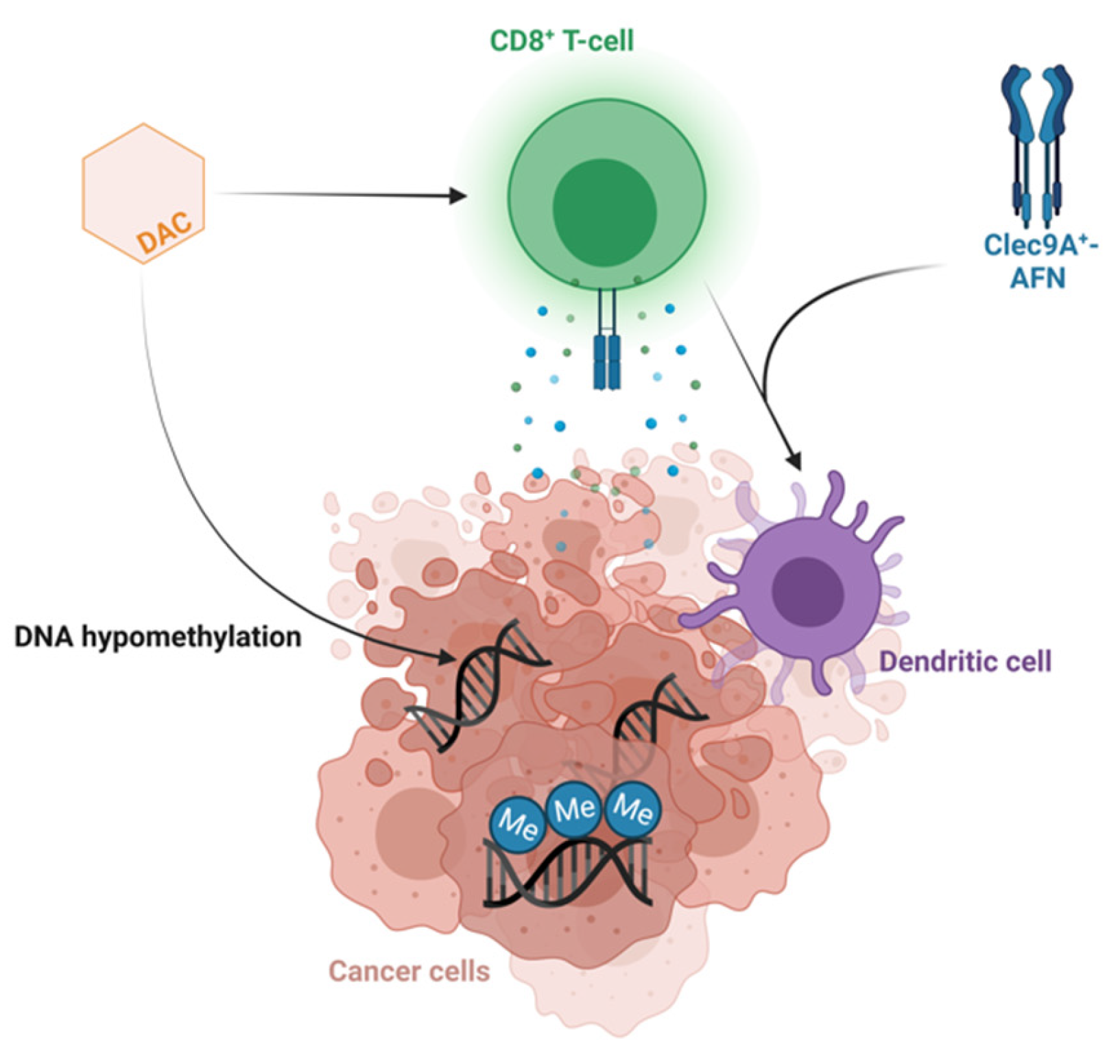Cancers 15 00647 g004