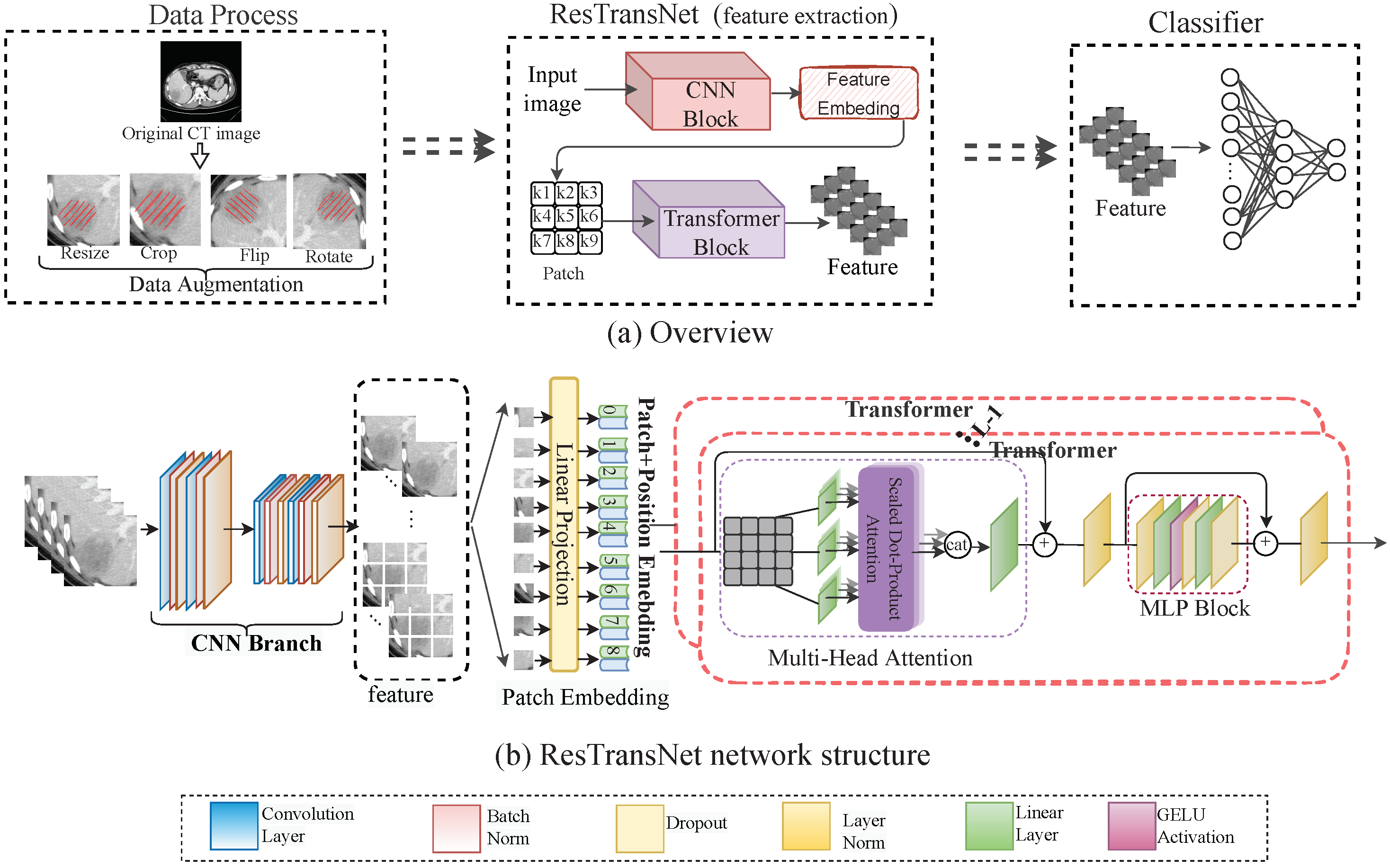Cancers 15 00658 g002